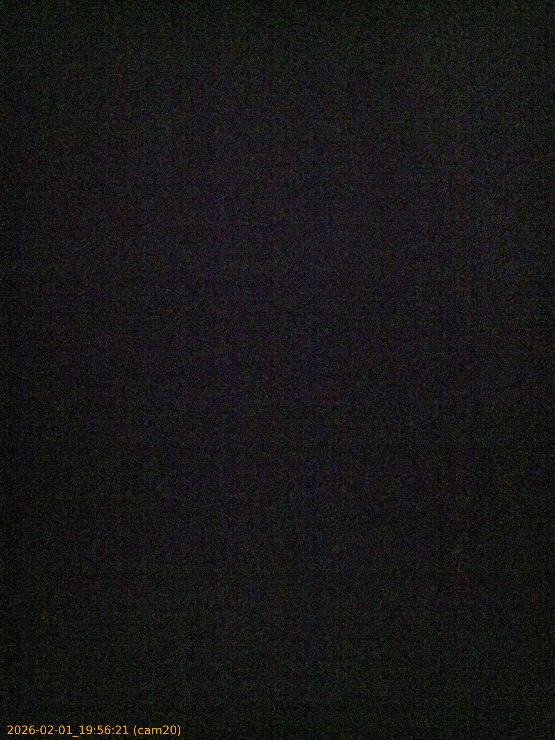 thumbnail_20260201195621