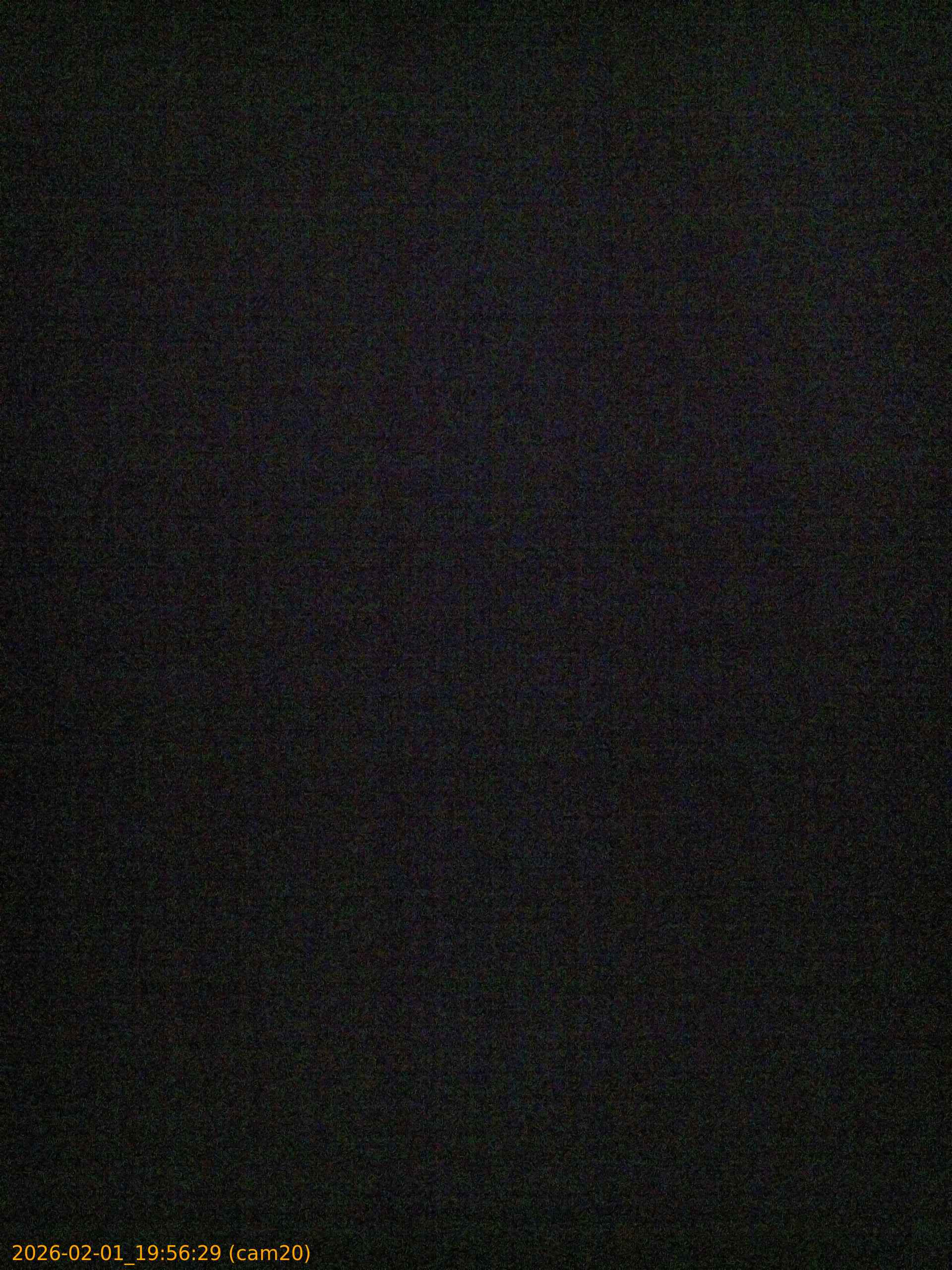 thumbnail_20260201195629