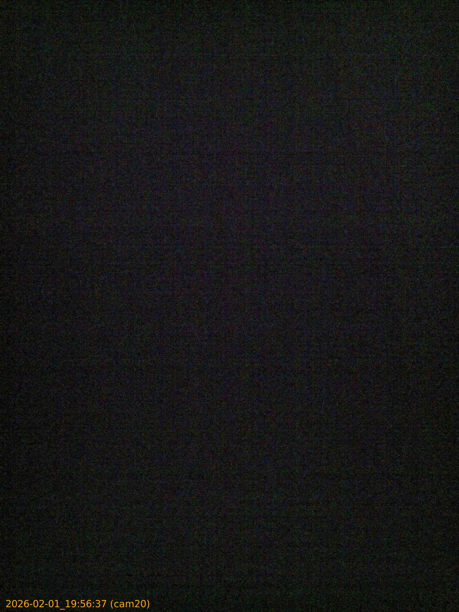 thumbnail_20260201195637