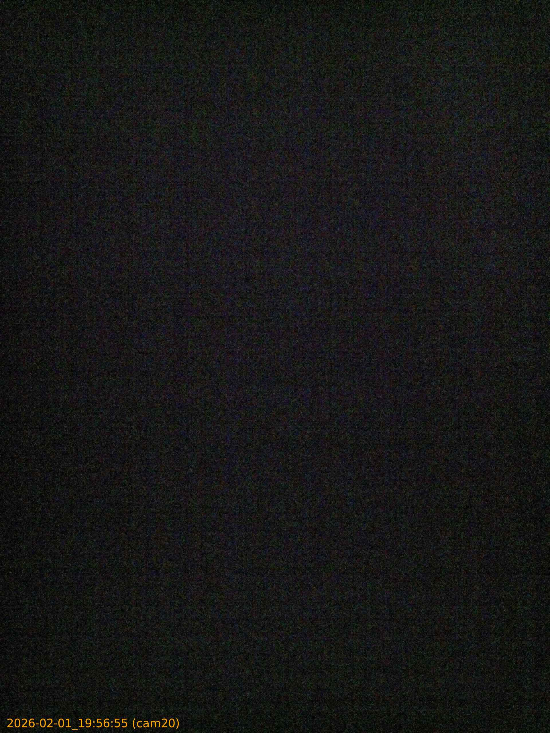 thumbnail_20260201195655