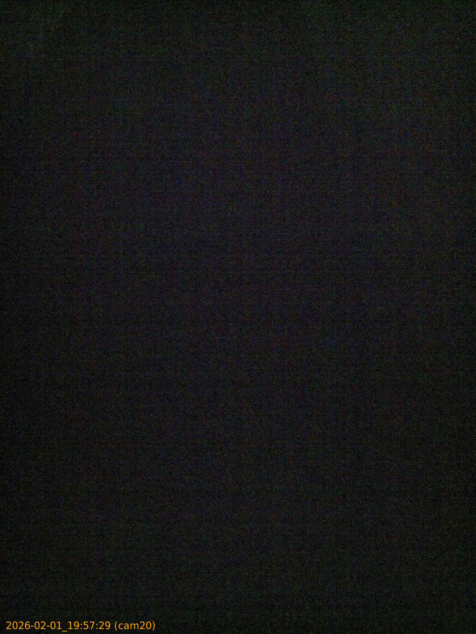 thumbnail_20260201195729