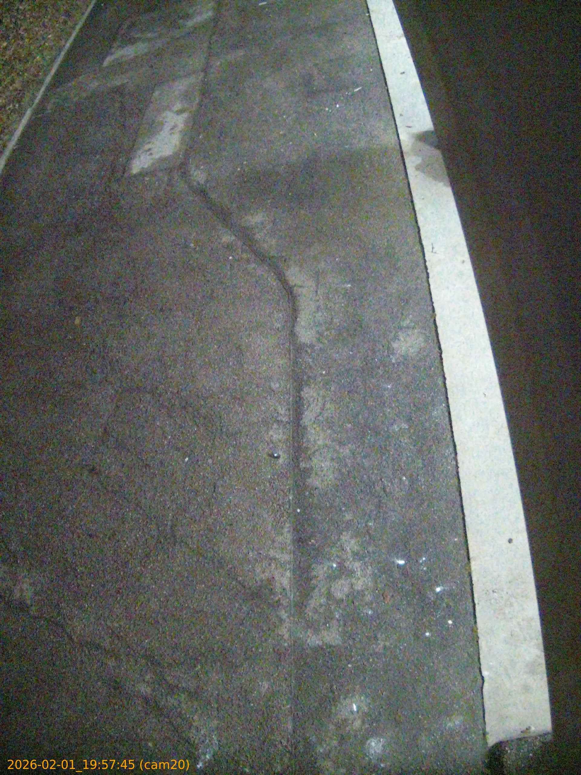 thumbnail_20260201195745