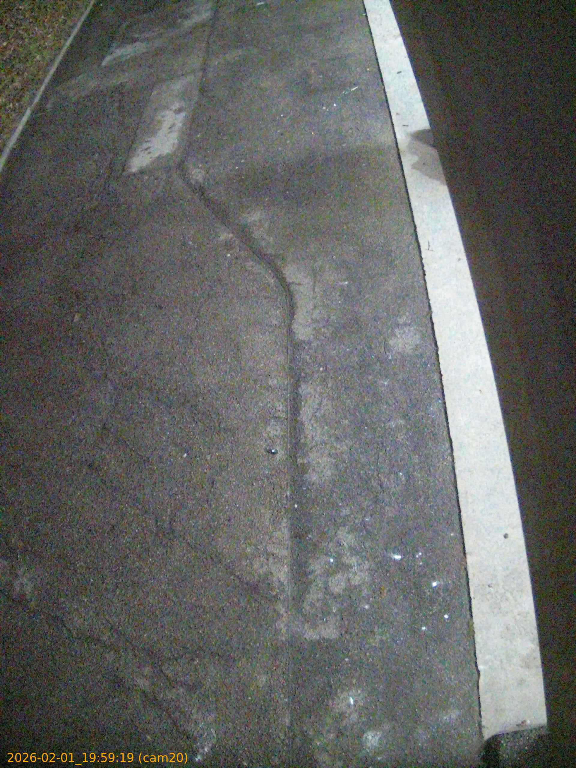 thumbnail_20260201195919