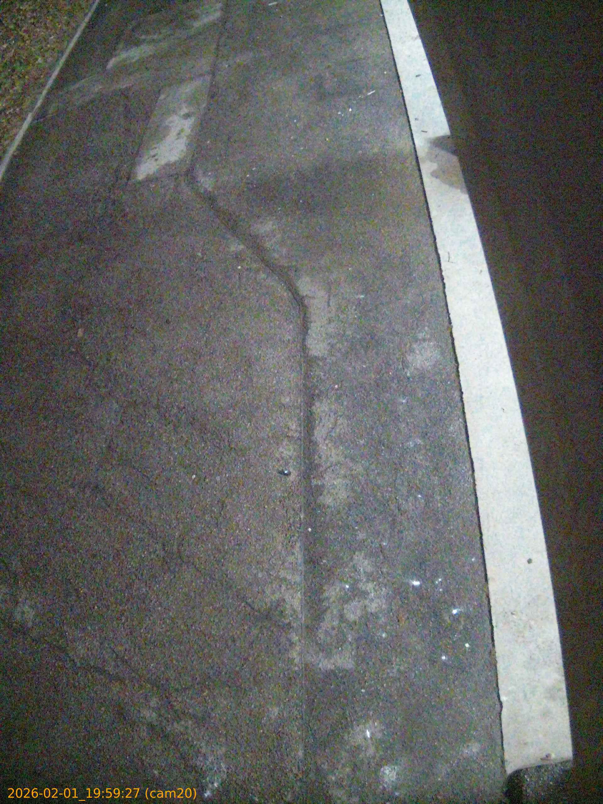 thumbnail_20260201195927