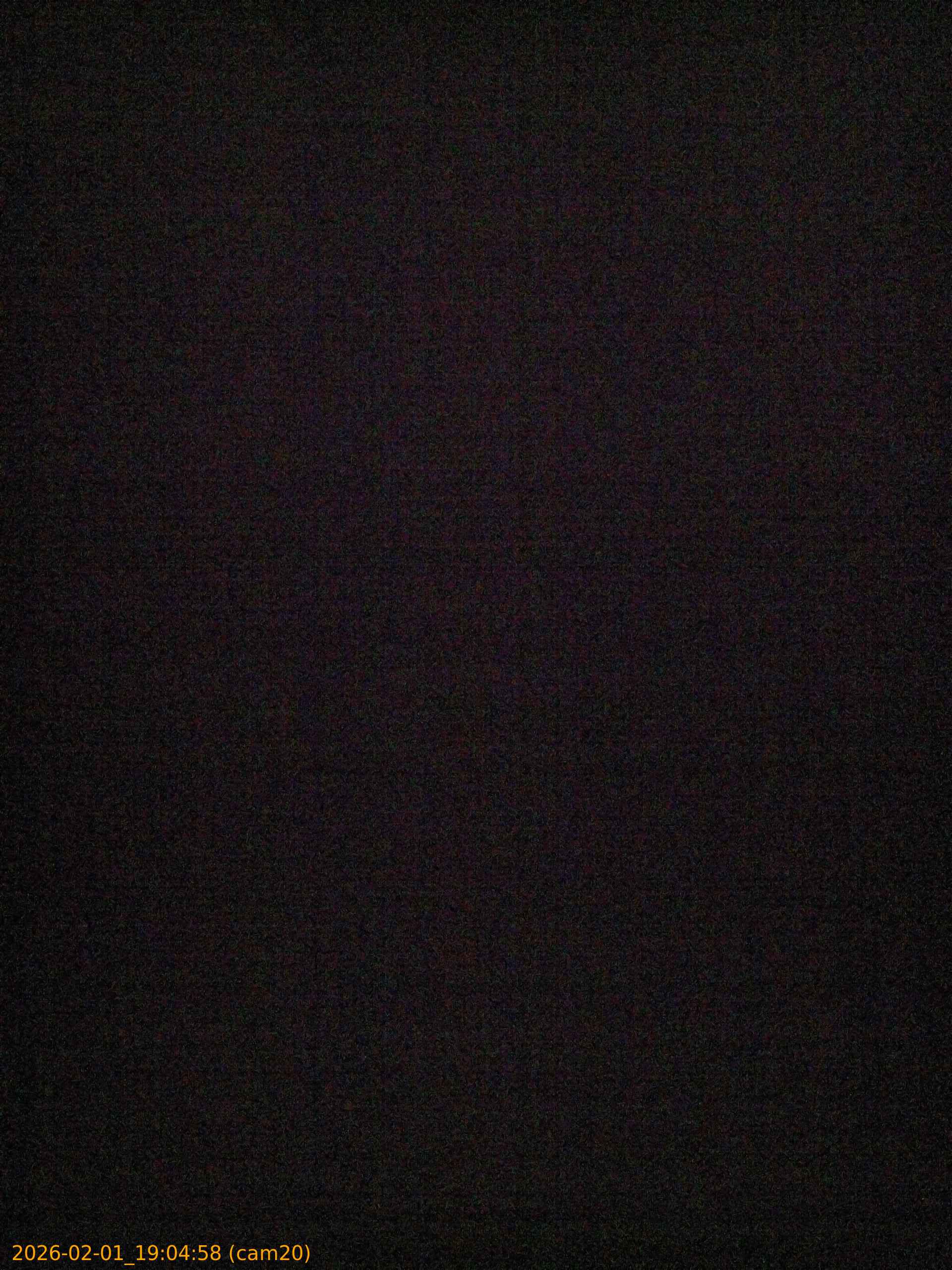 thumbnail_202602011904