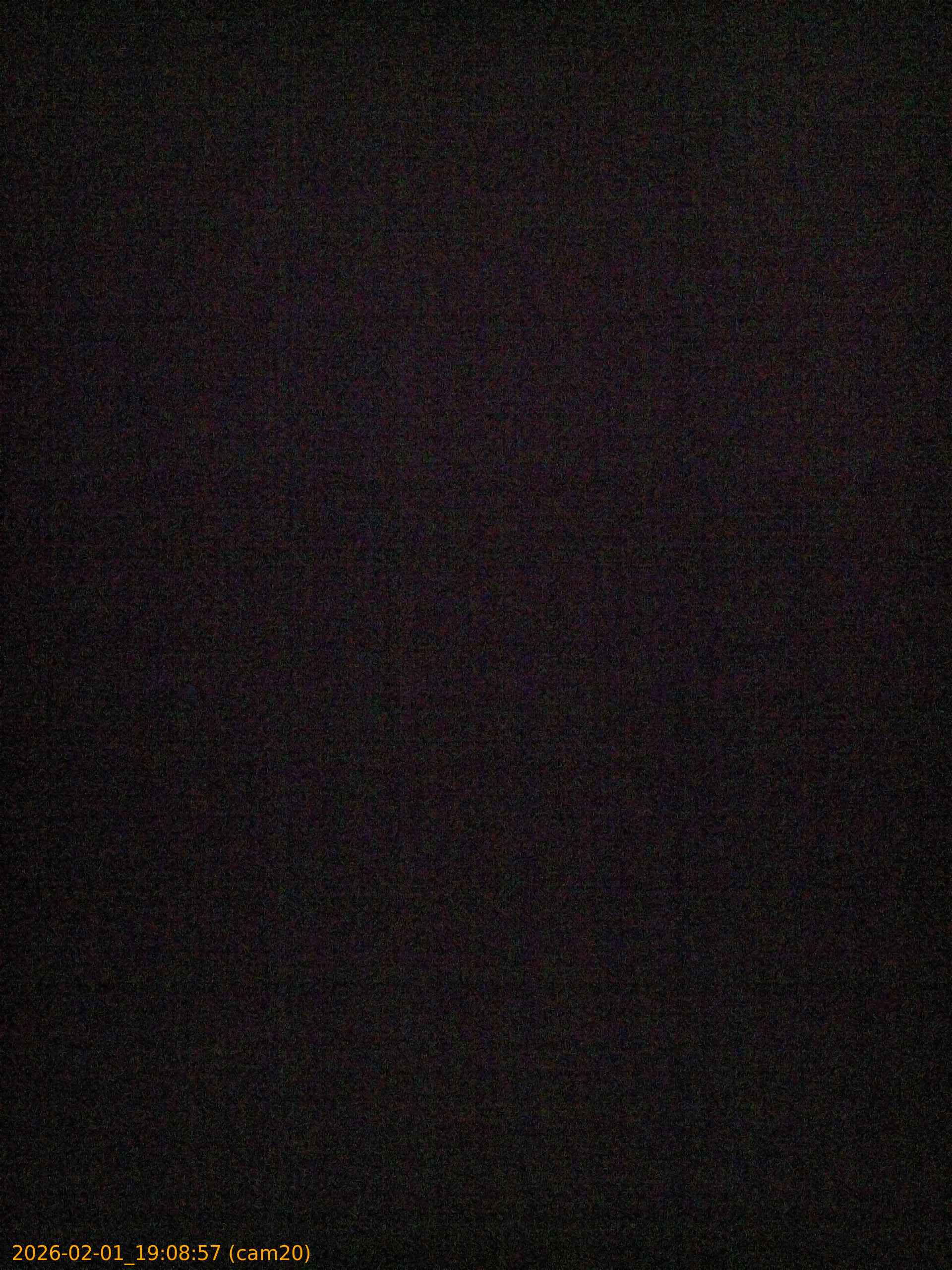 thumbnail_202602011908