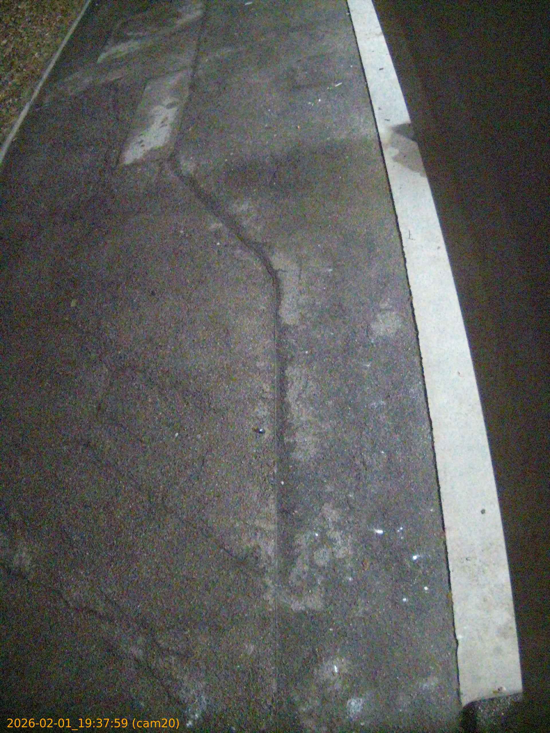 thumbnail_202602011937