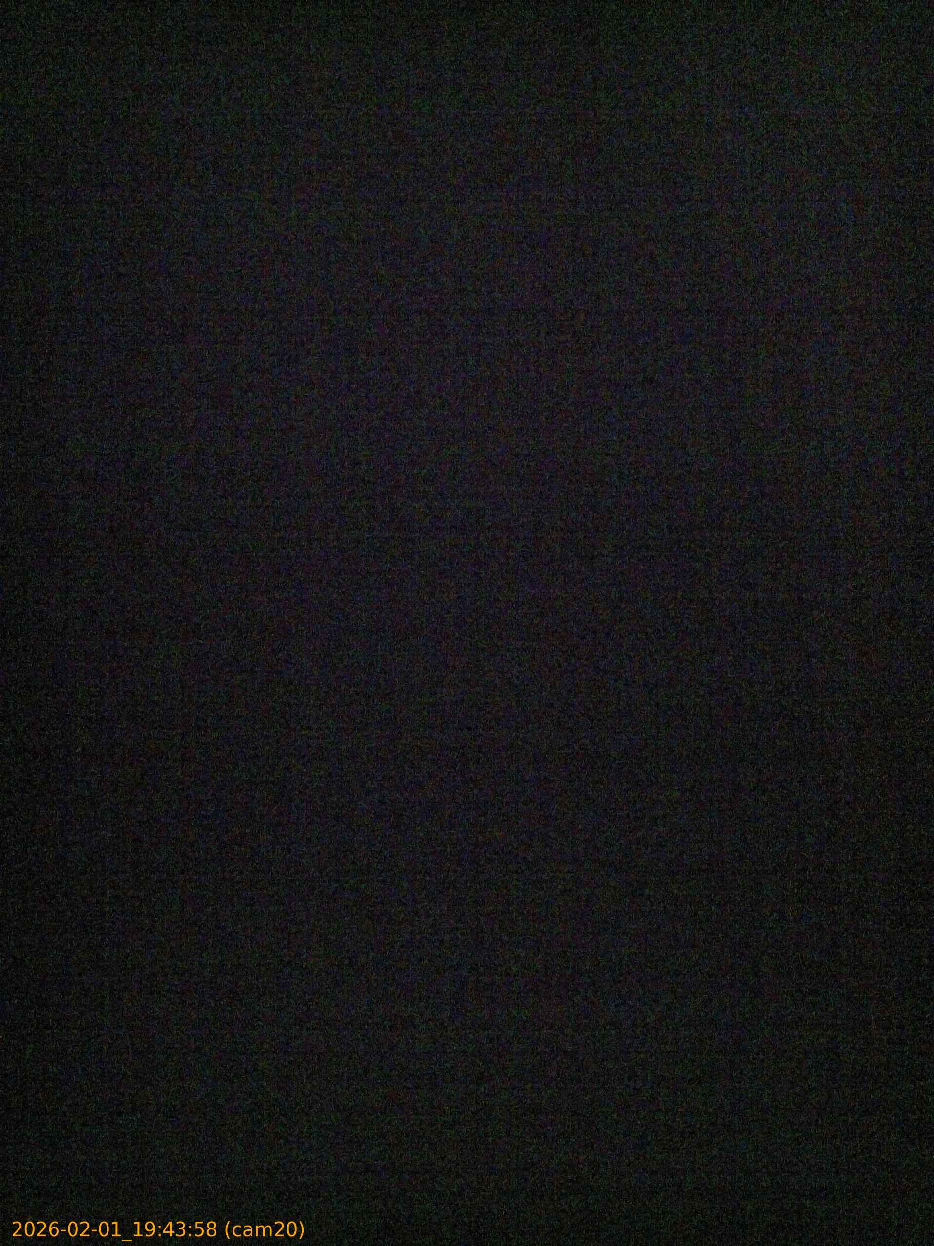 thumbnail_202602011943