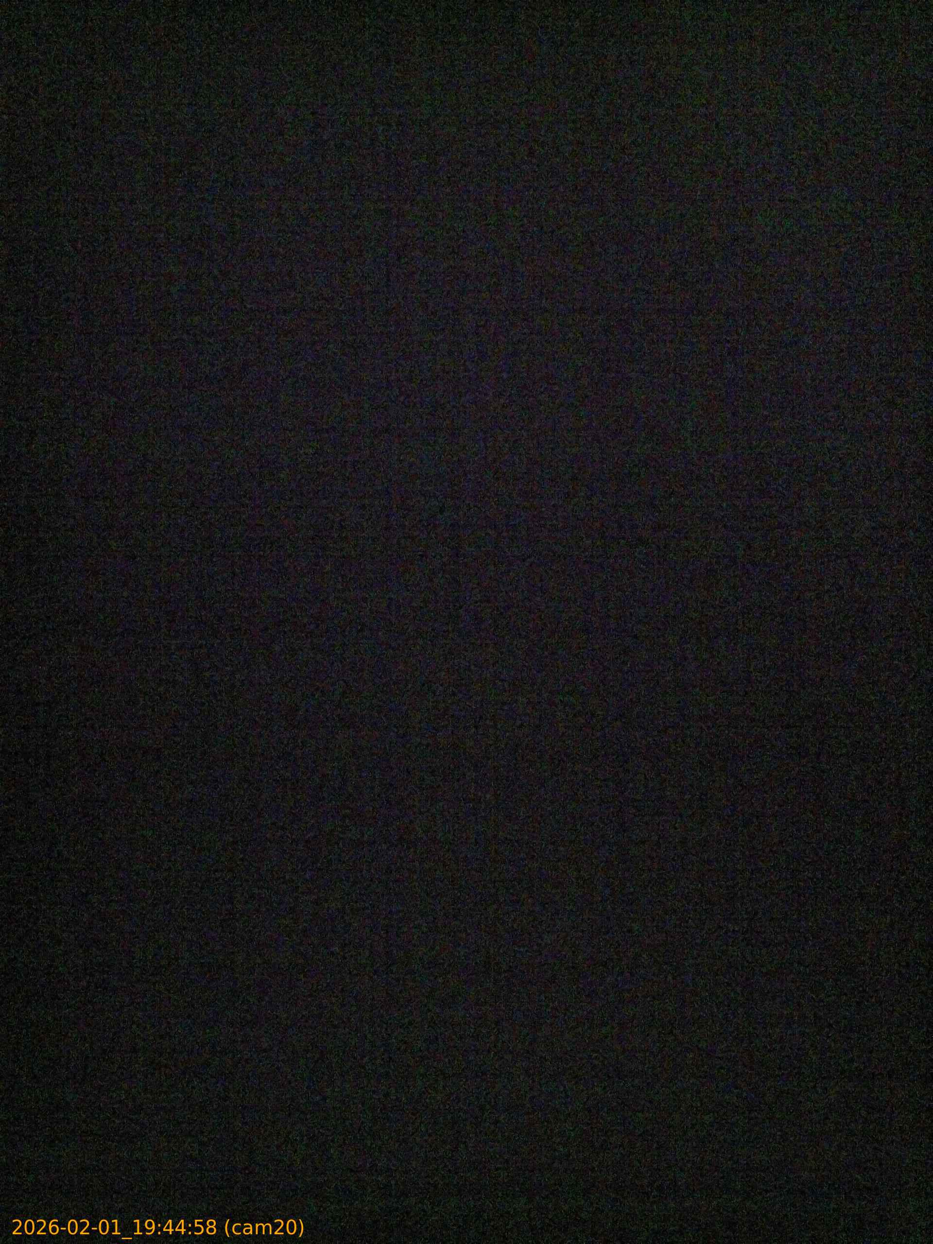 thumbnail_202602011944