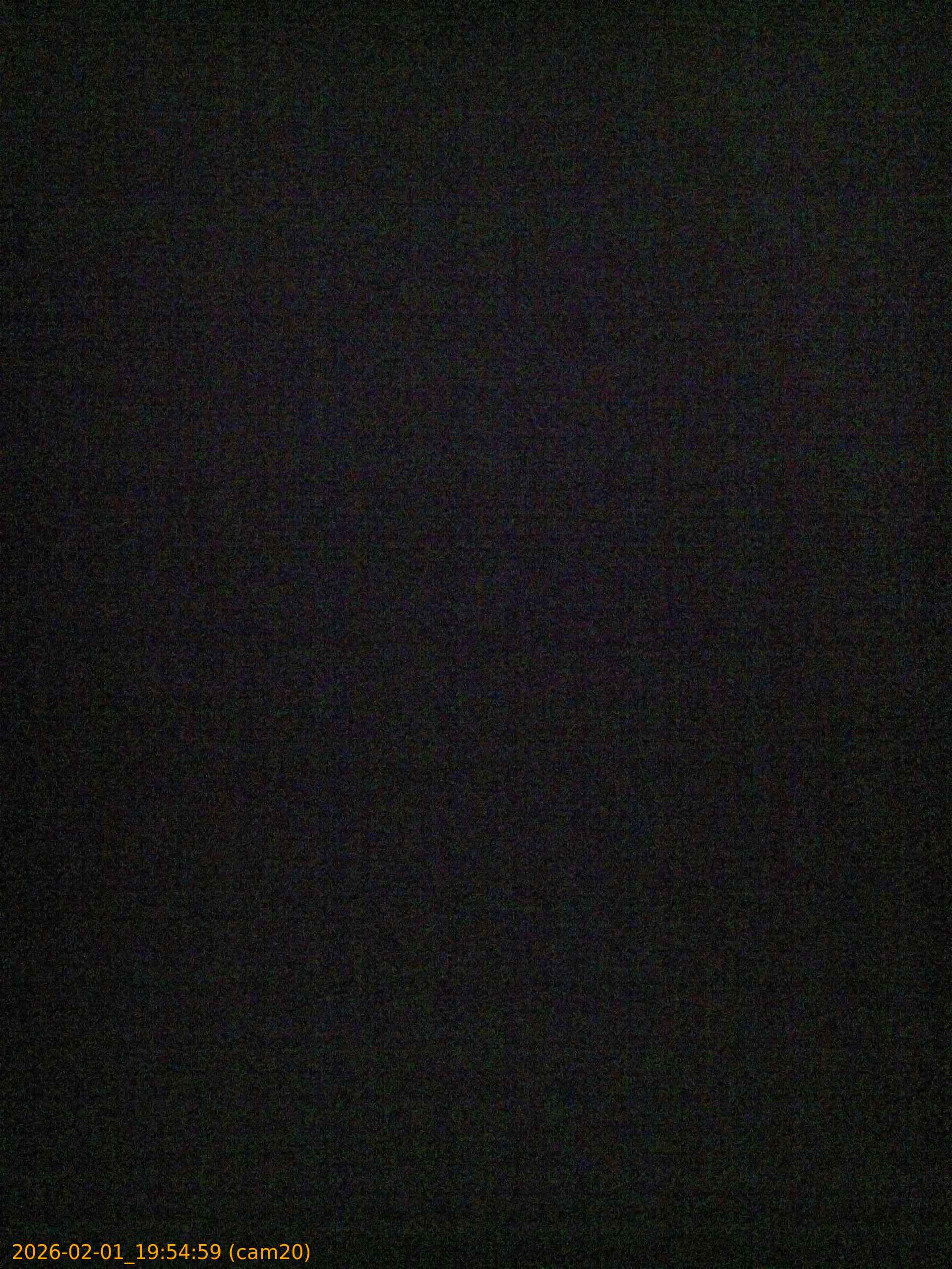 thumbnail_202602011954