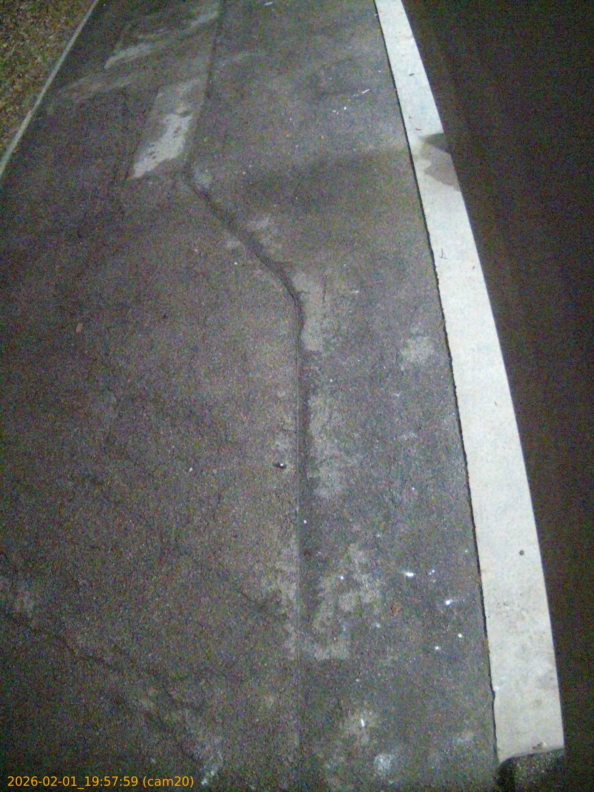 thumbnail_202602011957