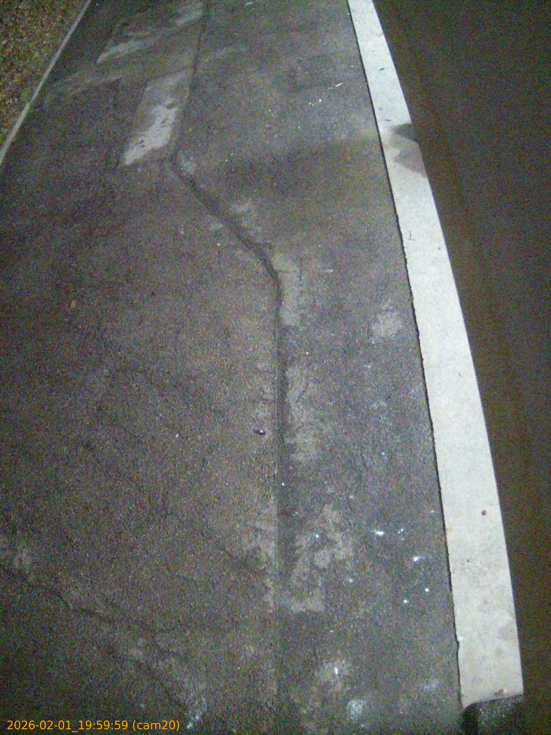 thumbnail_202602011959