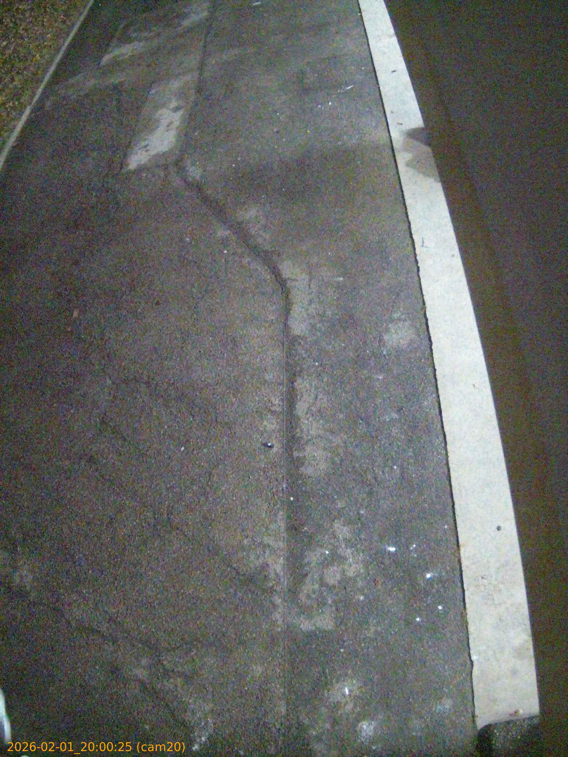 thumbnail_20260201200025