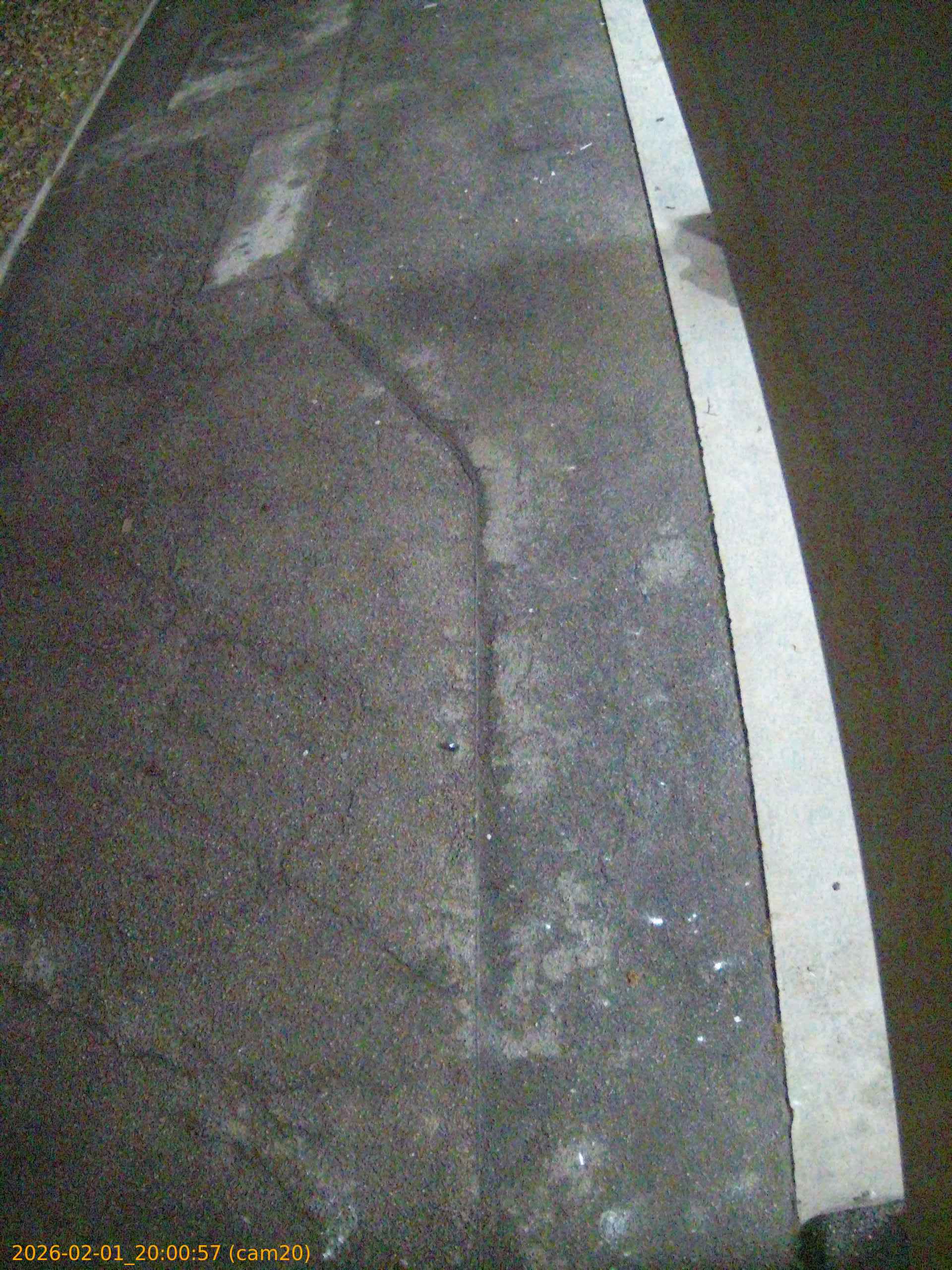 thumbnail_20260201200057