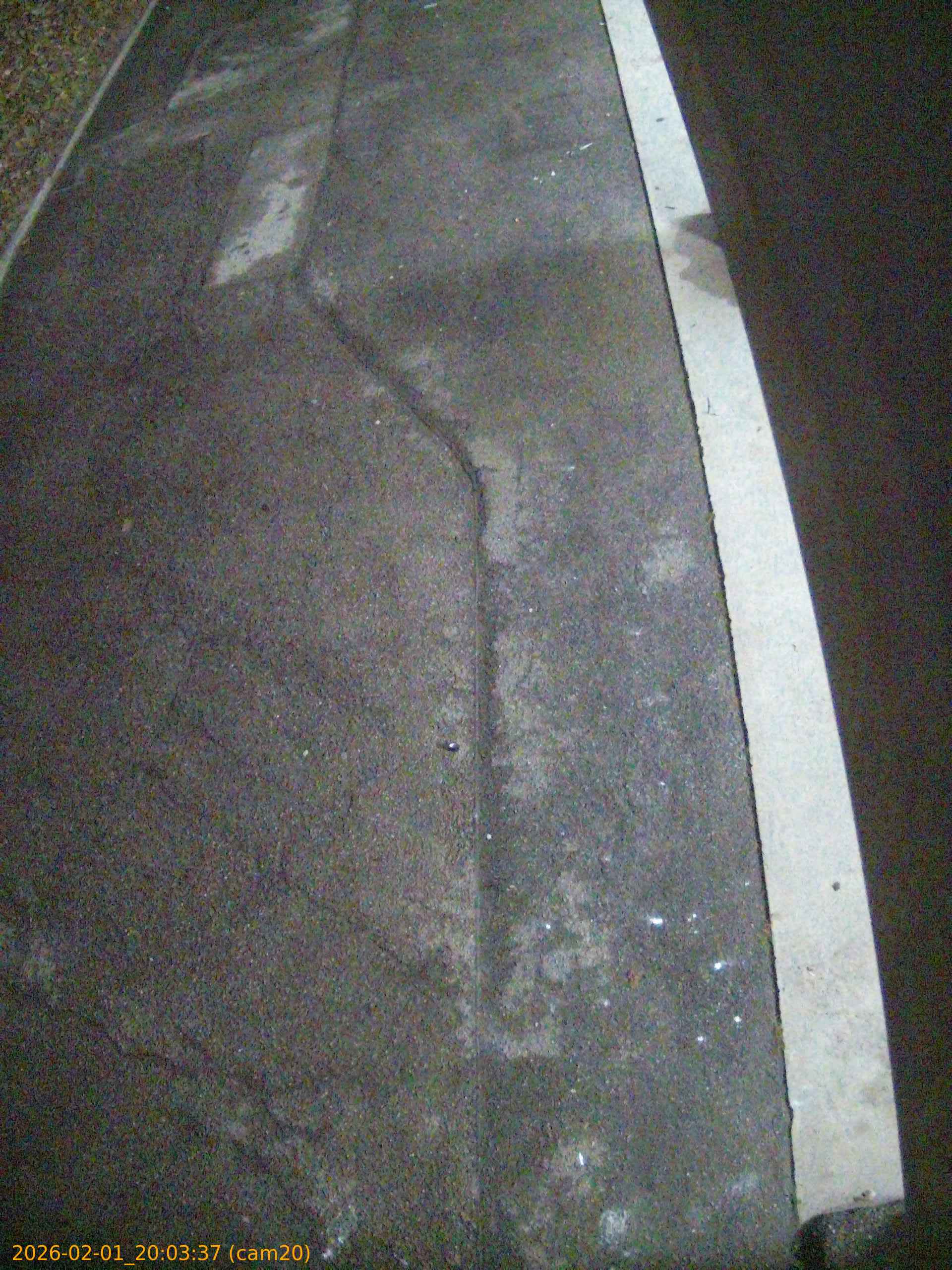 thumbnail_20260201200337