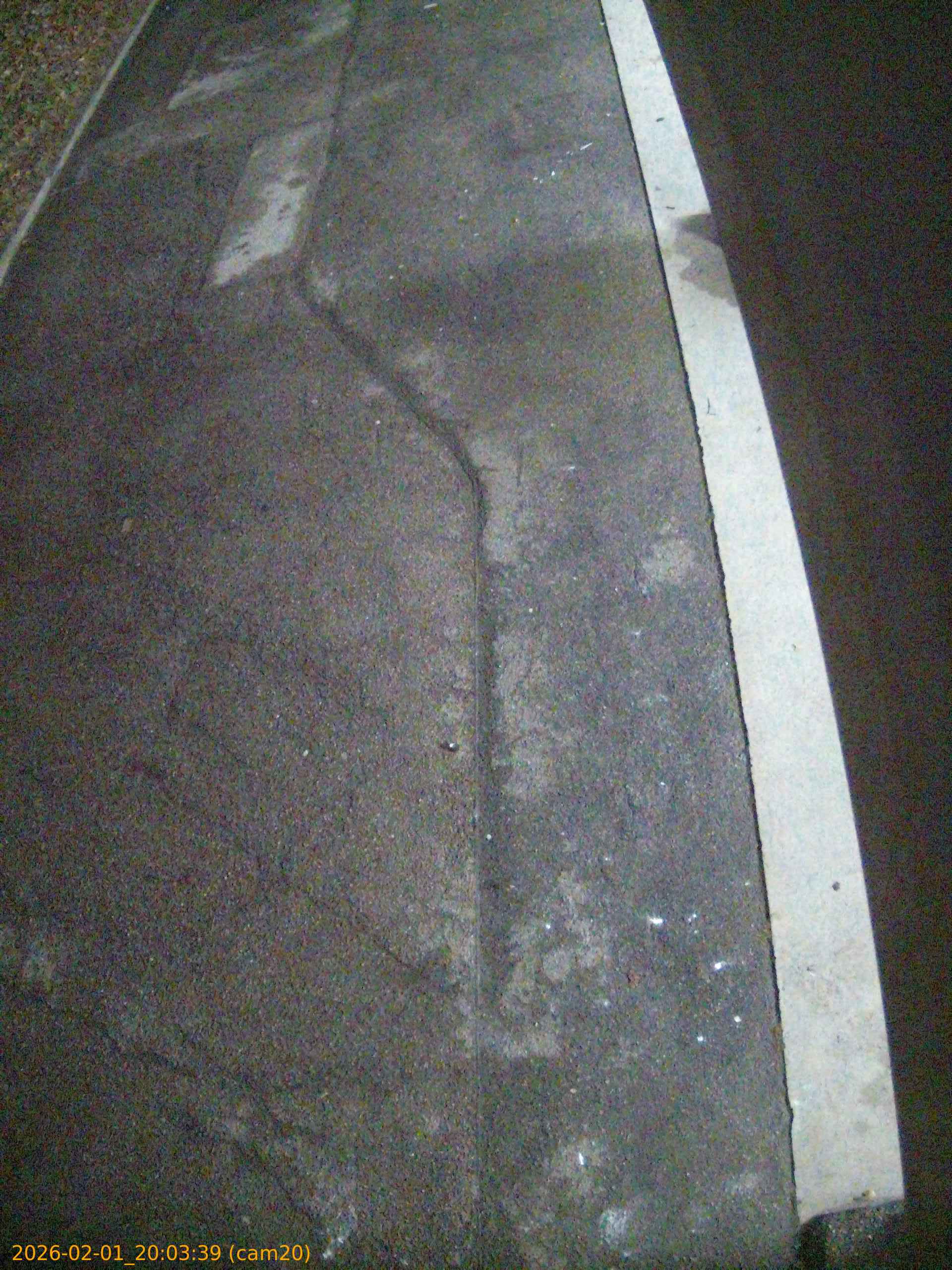 thumbnail_20260201200339