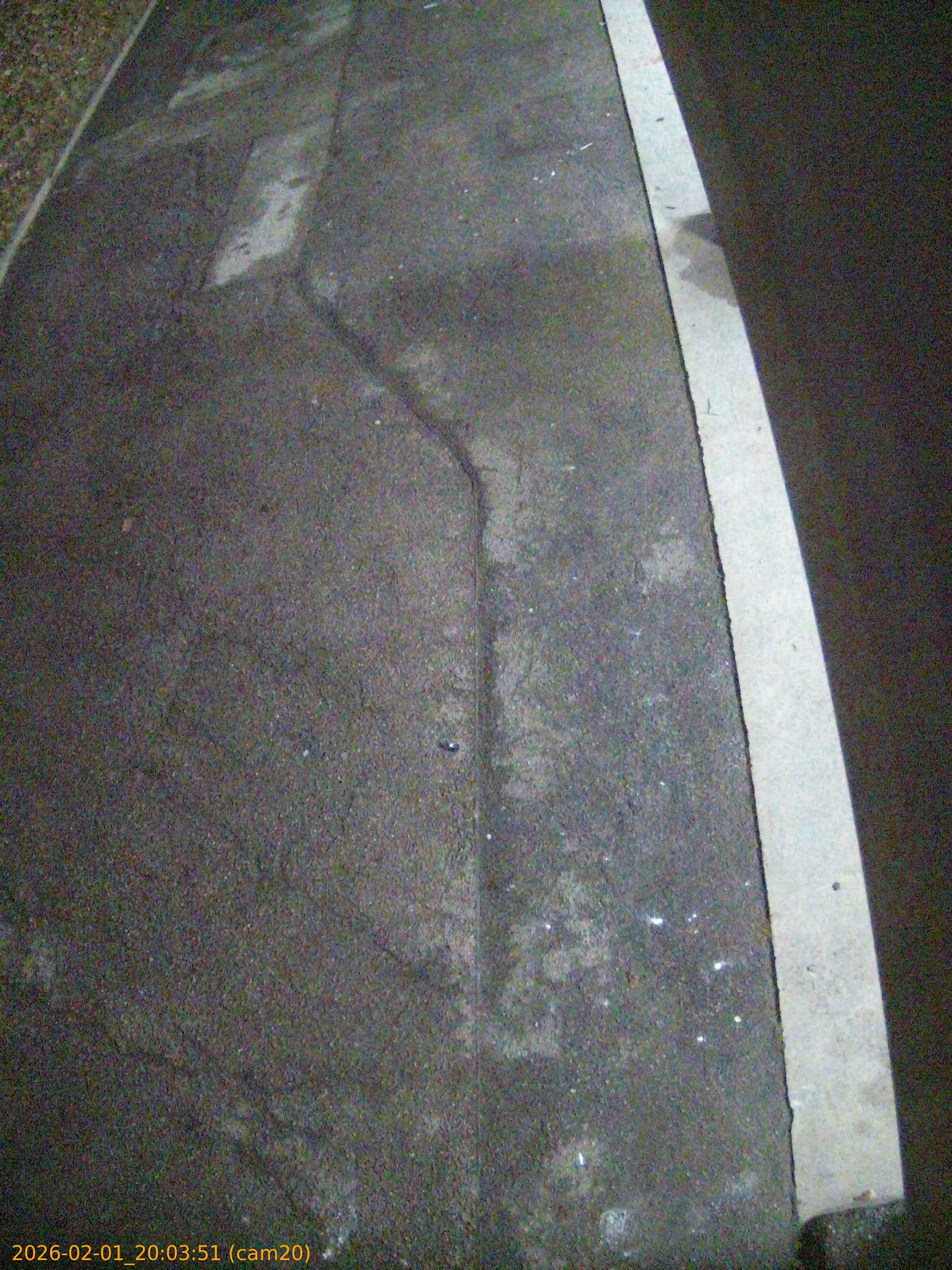 thumbnail_20260201200351