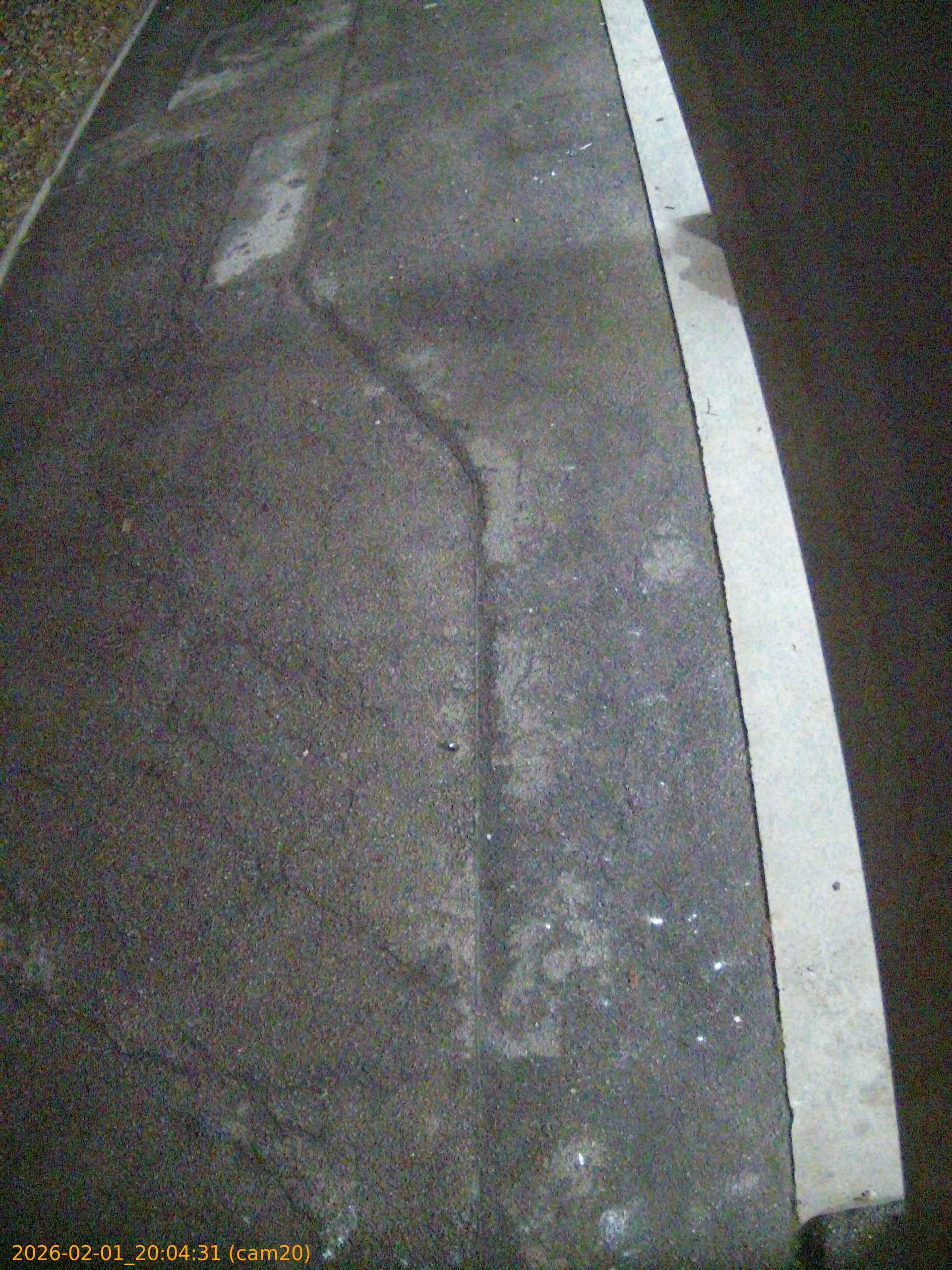 thumbnail_20260201200431