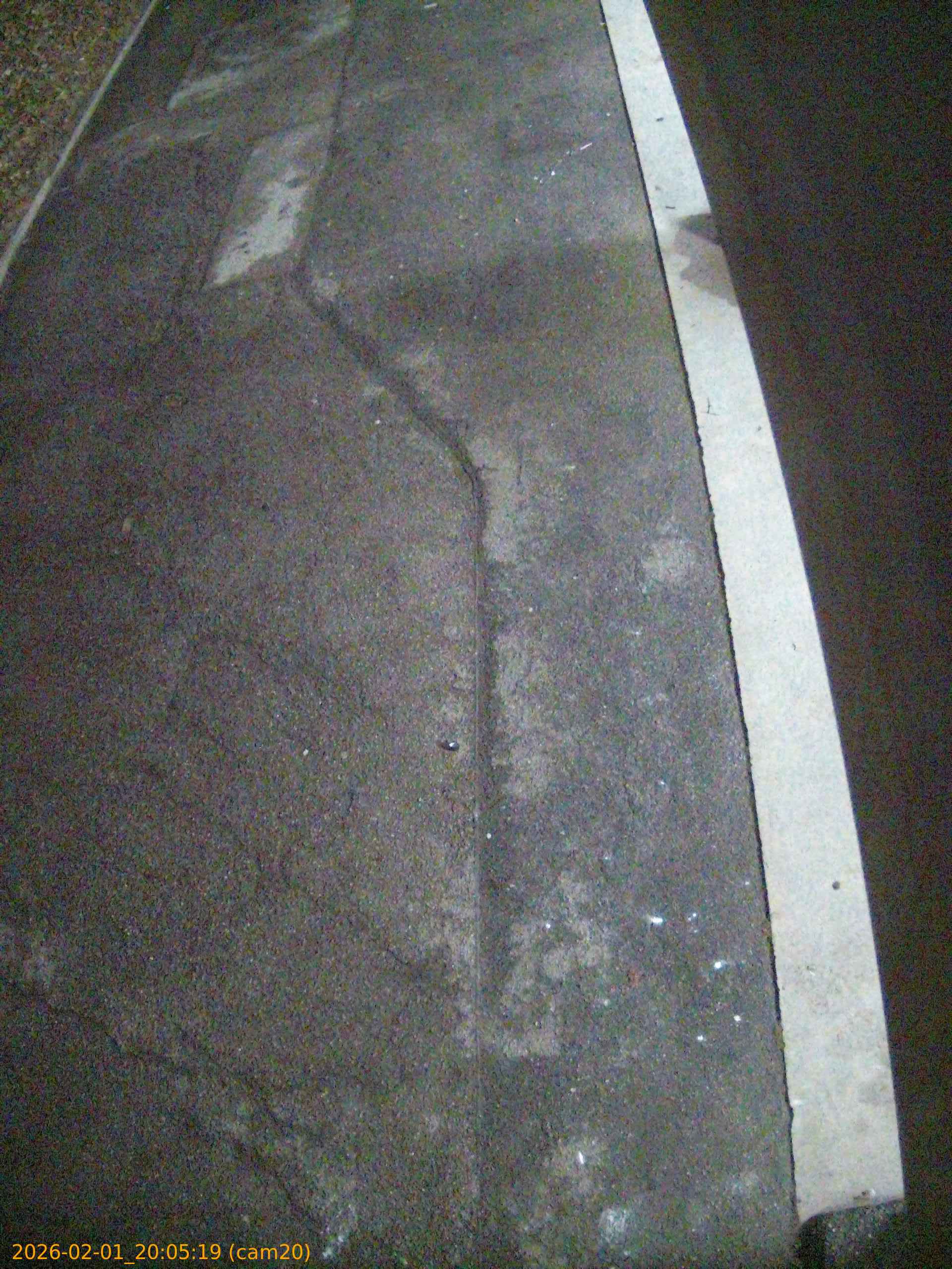 thumbnail_20260201200519