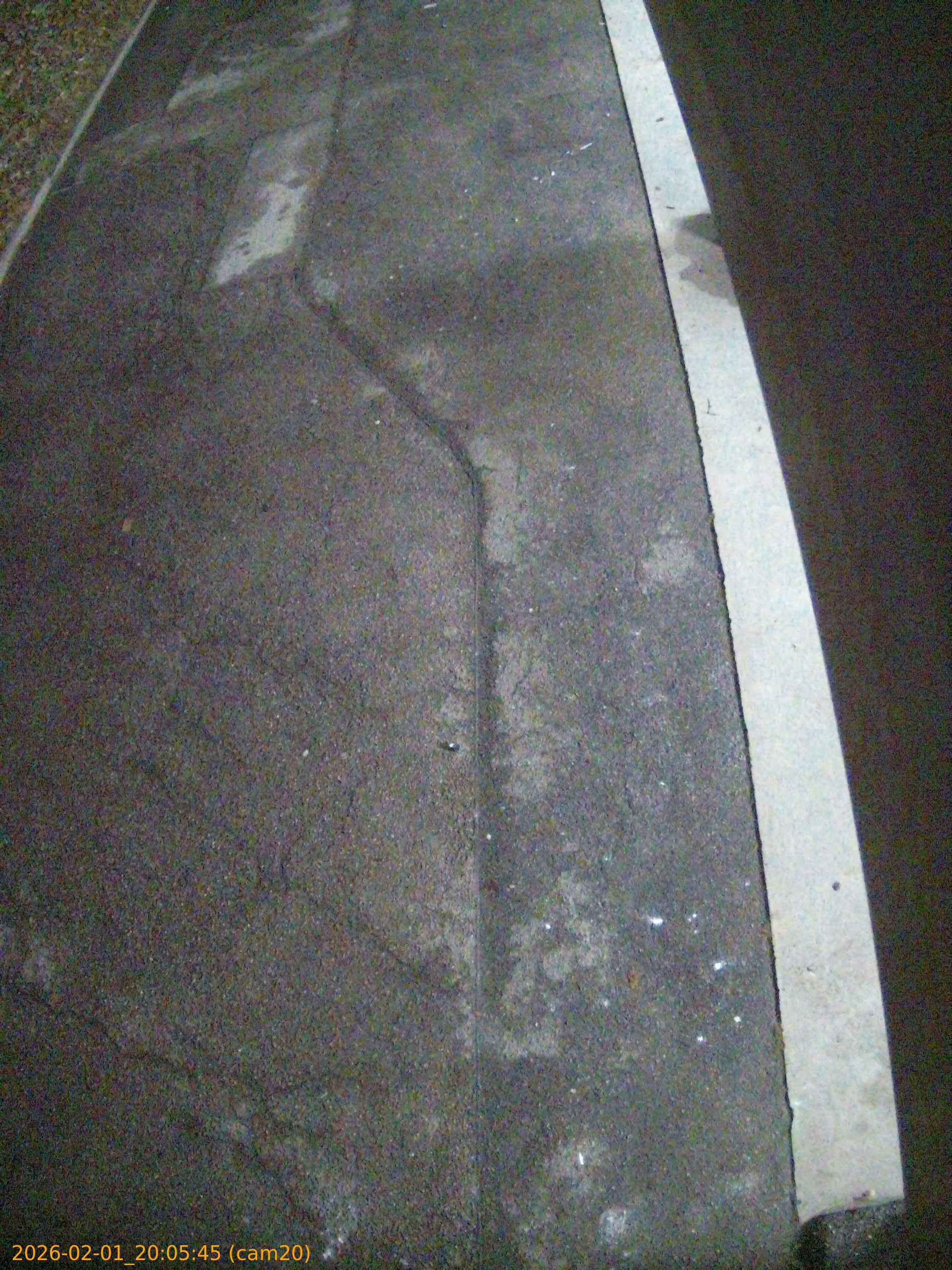 thumbnail_20260201200545