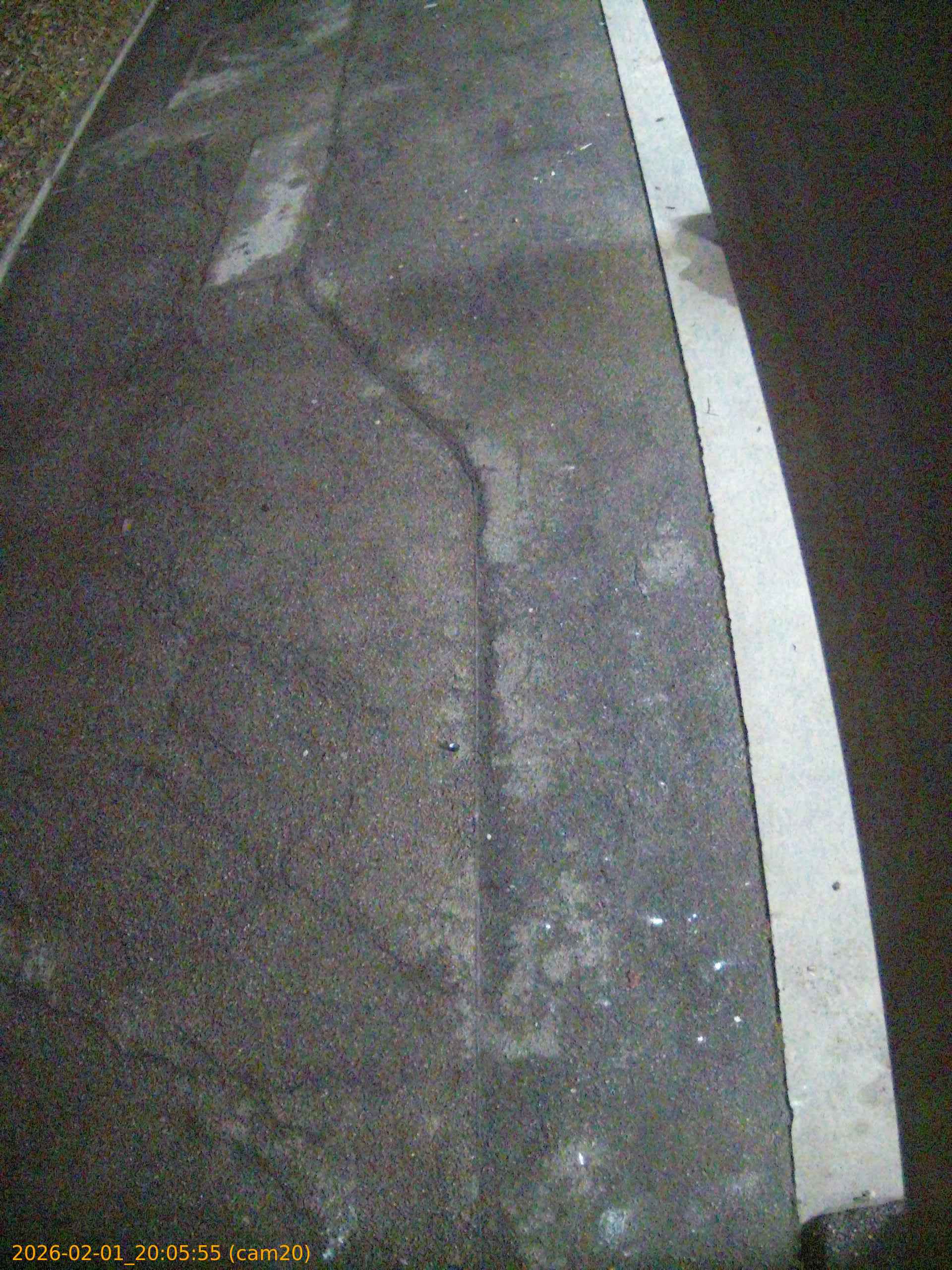 thumbnail_20260201200555