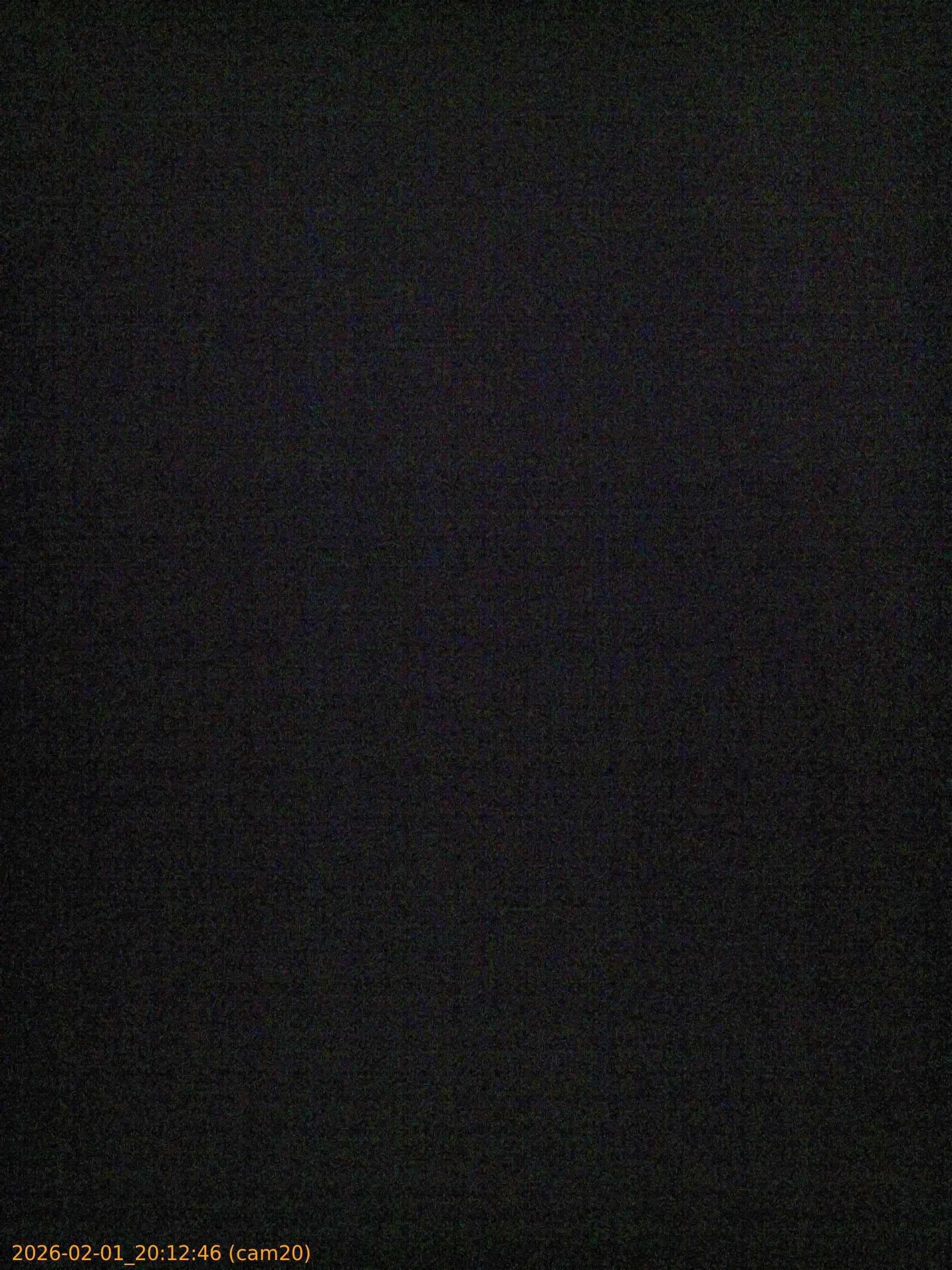 20260201201246