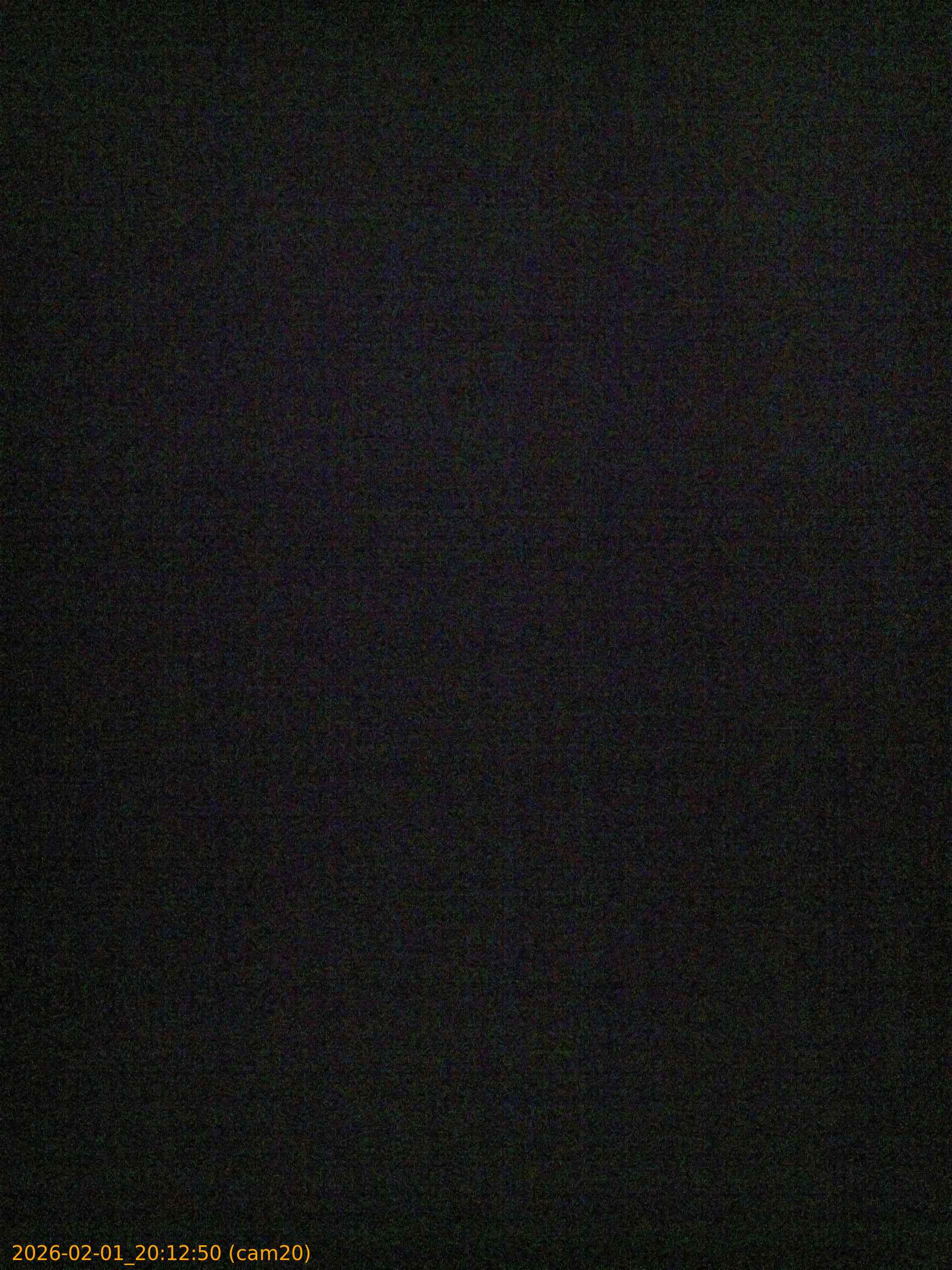 thumbnail_20260201201250