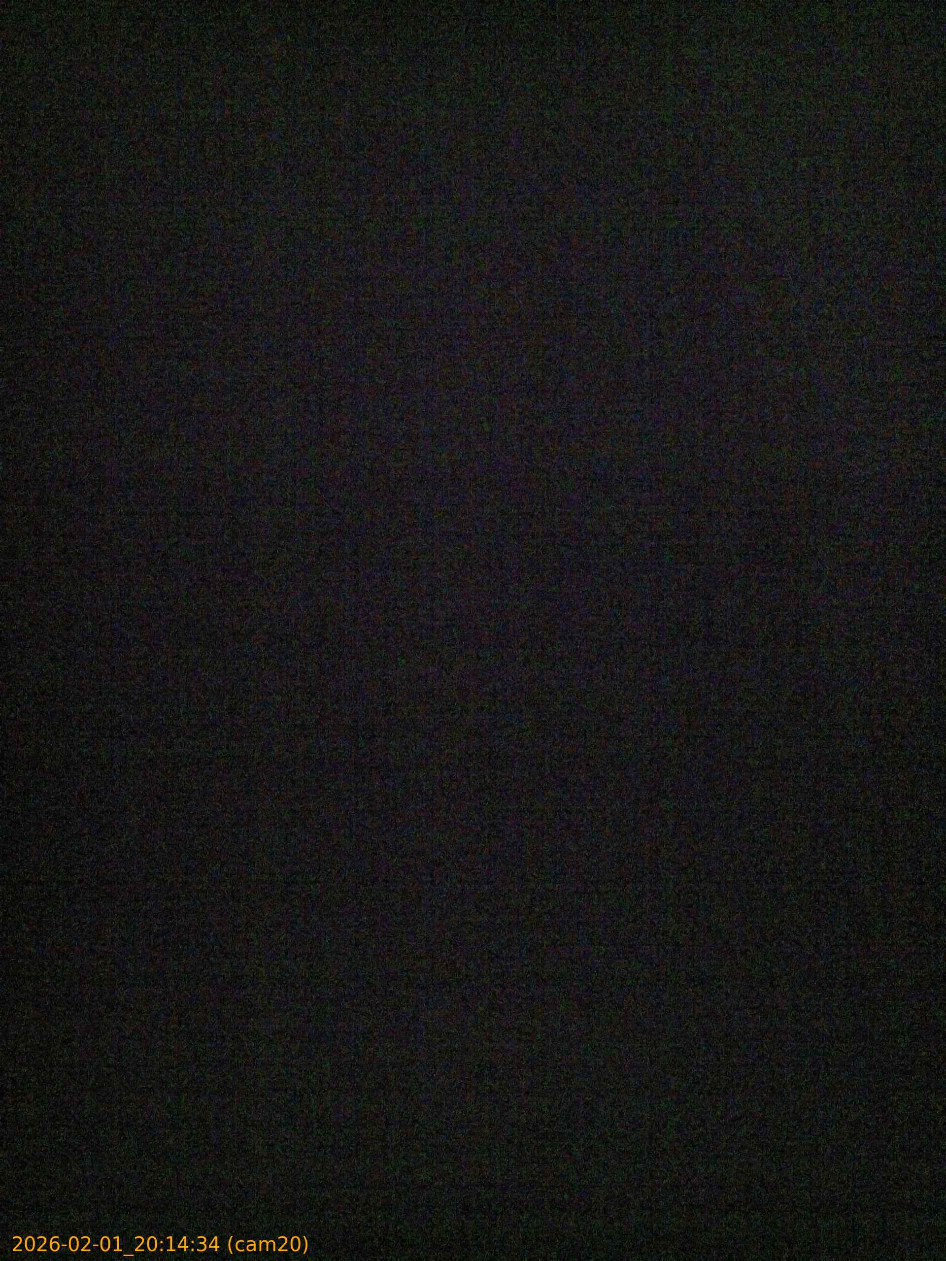 20260201201434