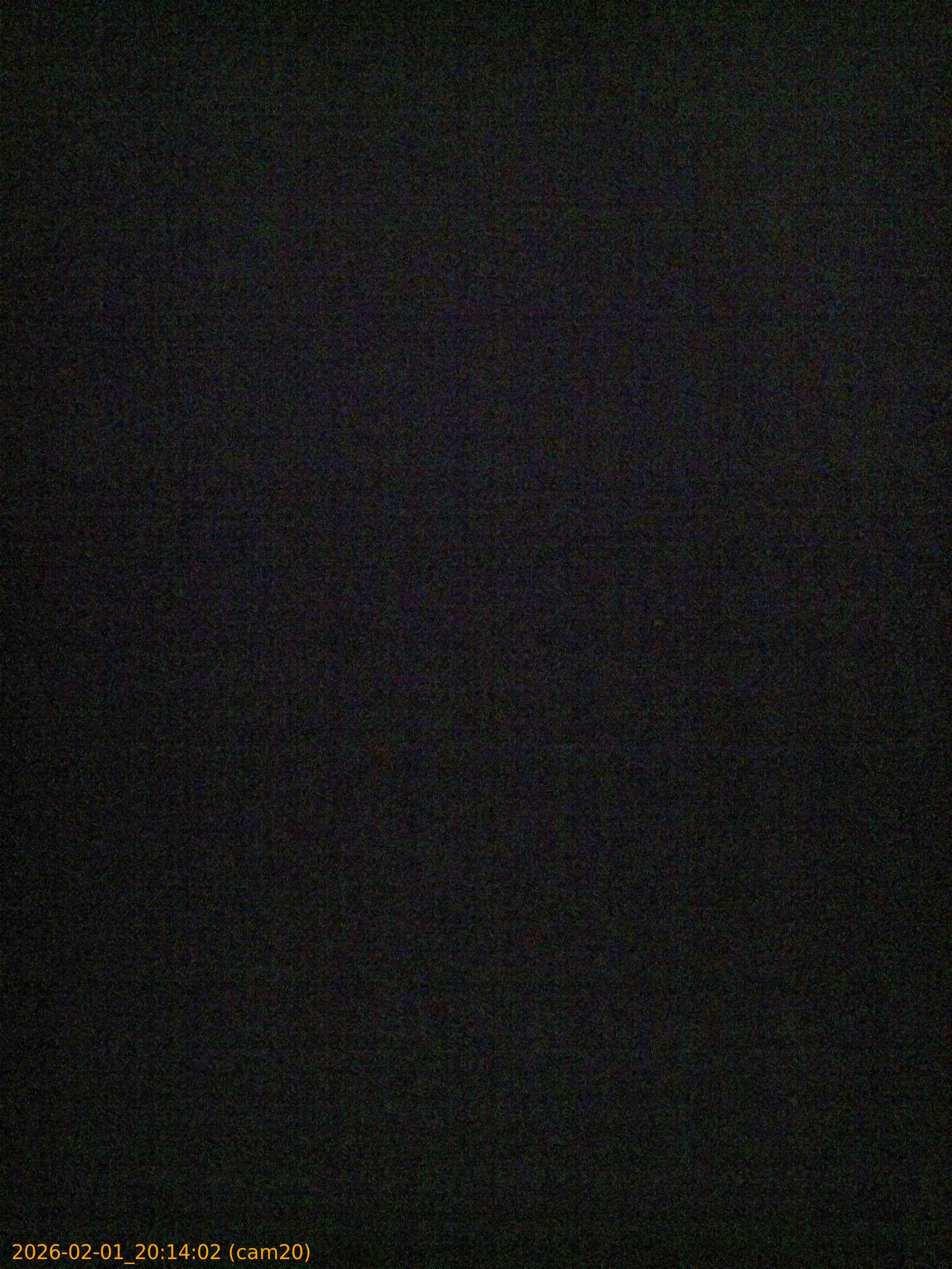 thumbnail_20260201201402