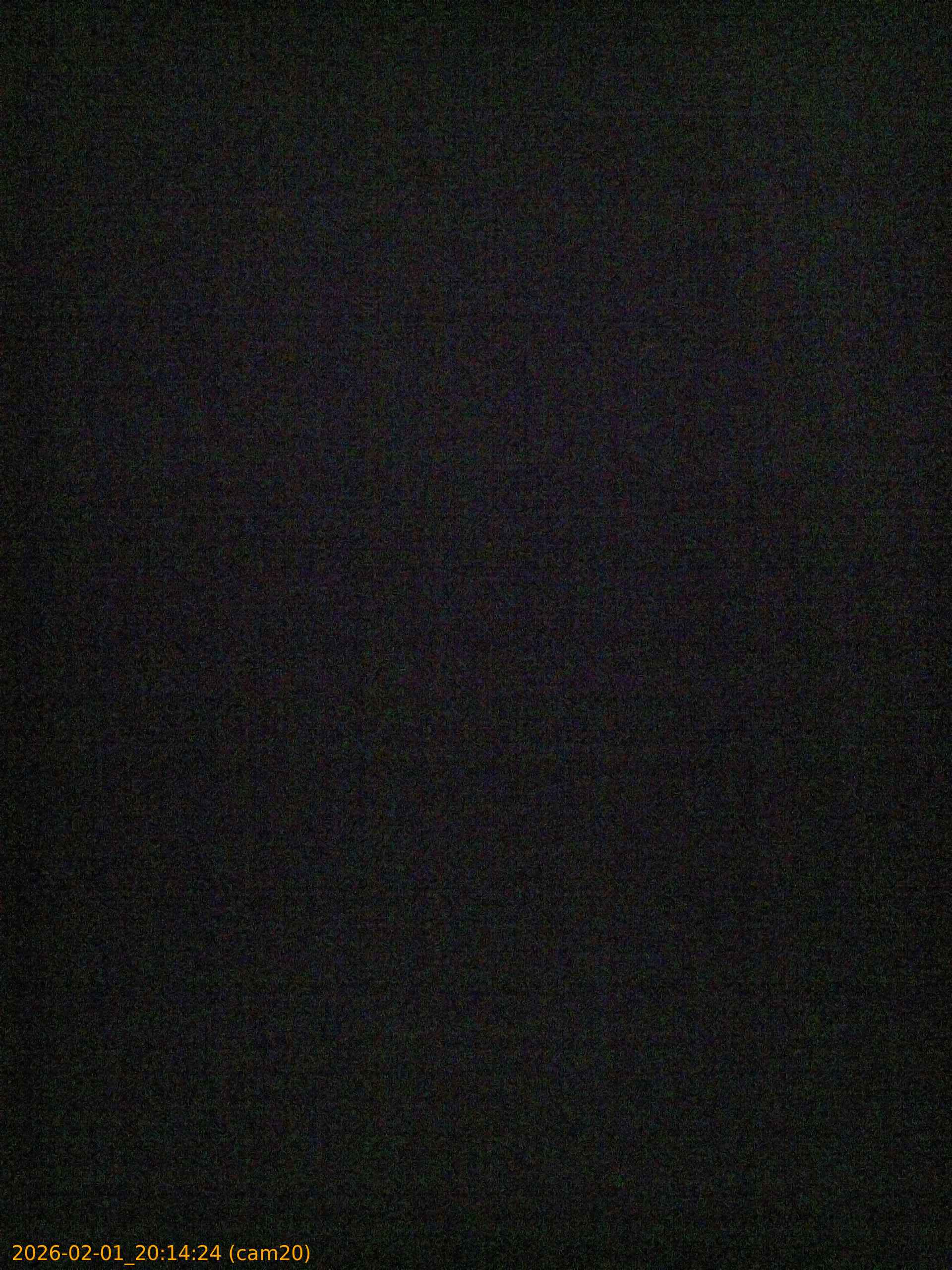 thumbnail_20260201201424