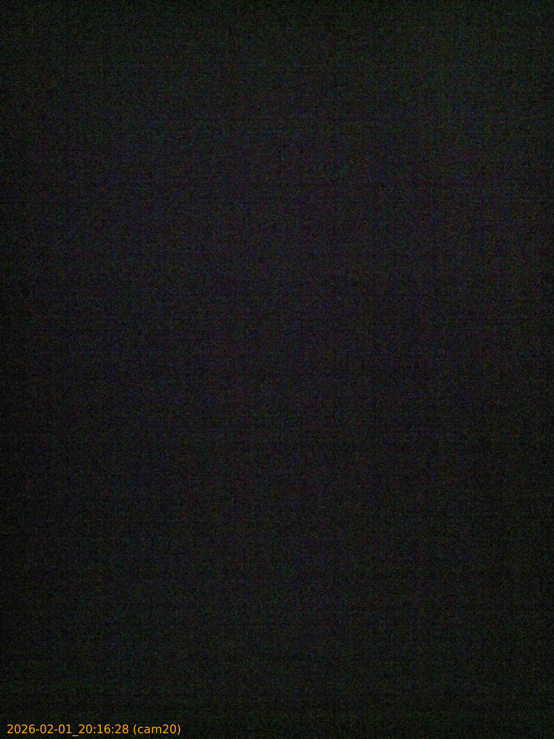 20260201201628