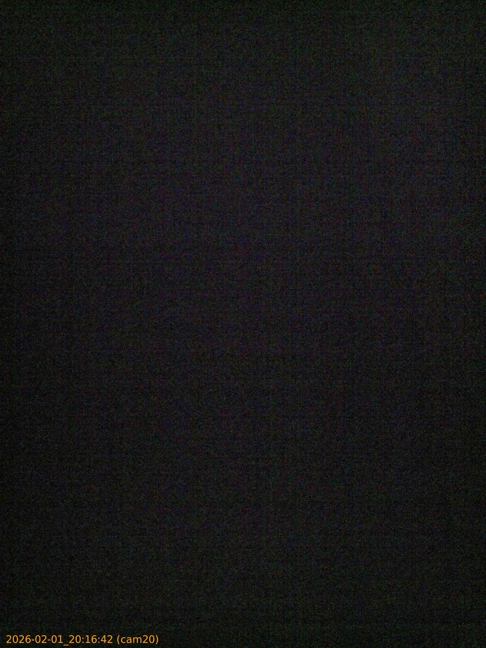20260201201642