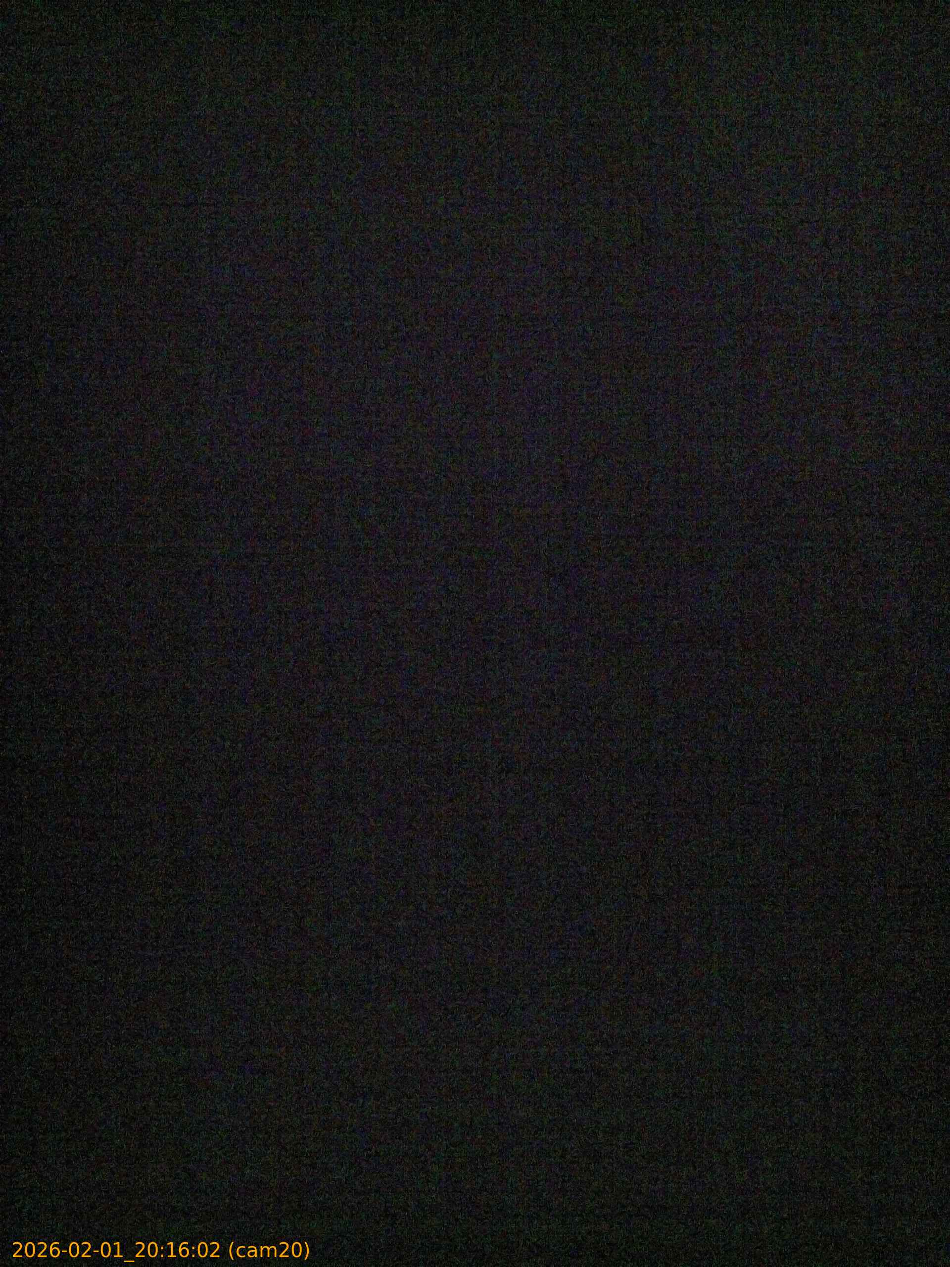 thumbnail_20260201201602