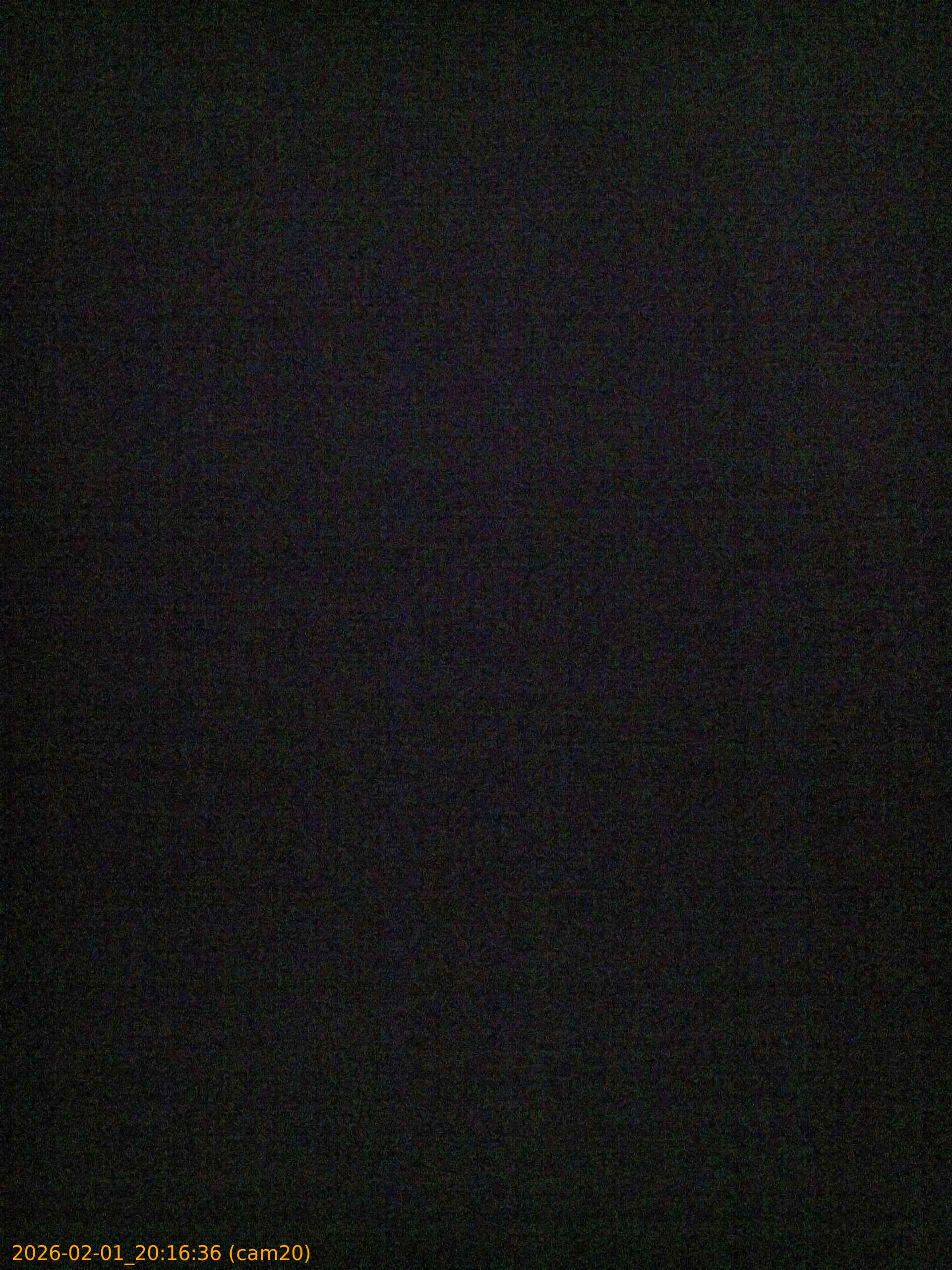 thumbnail_20260201201636