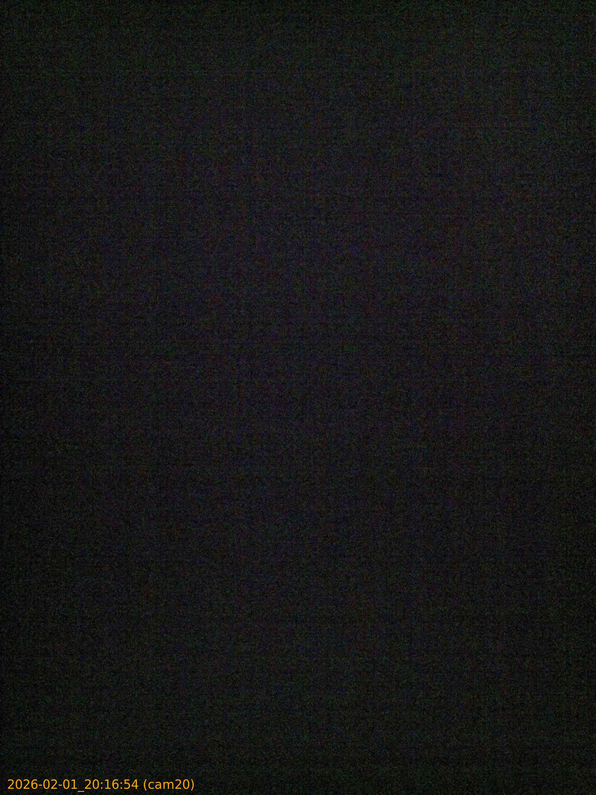 thumbnail_20260201201654