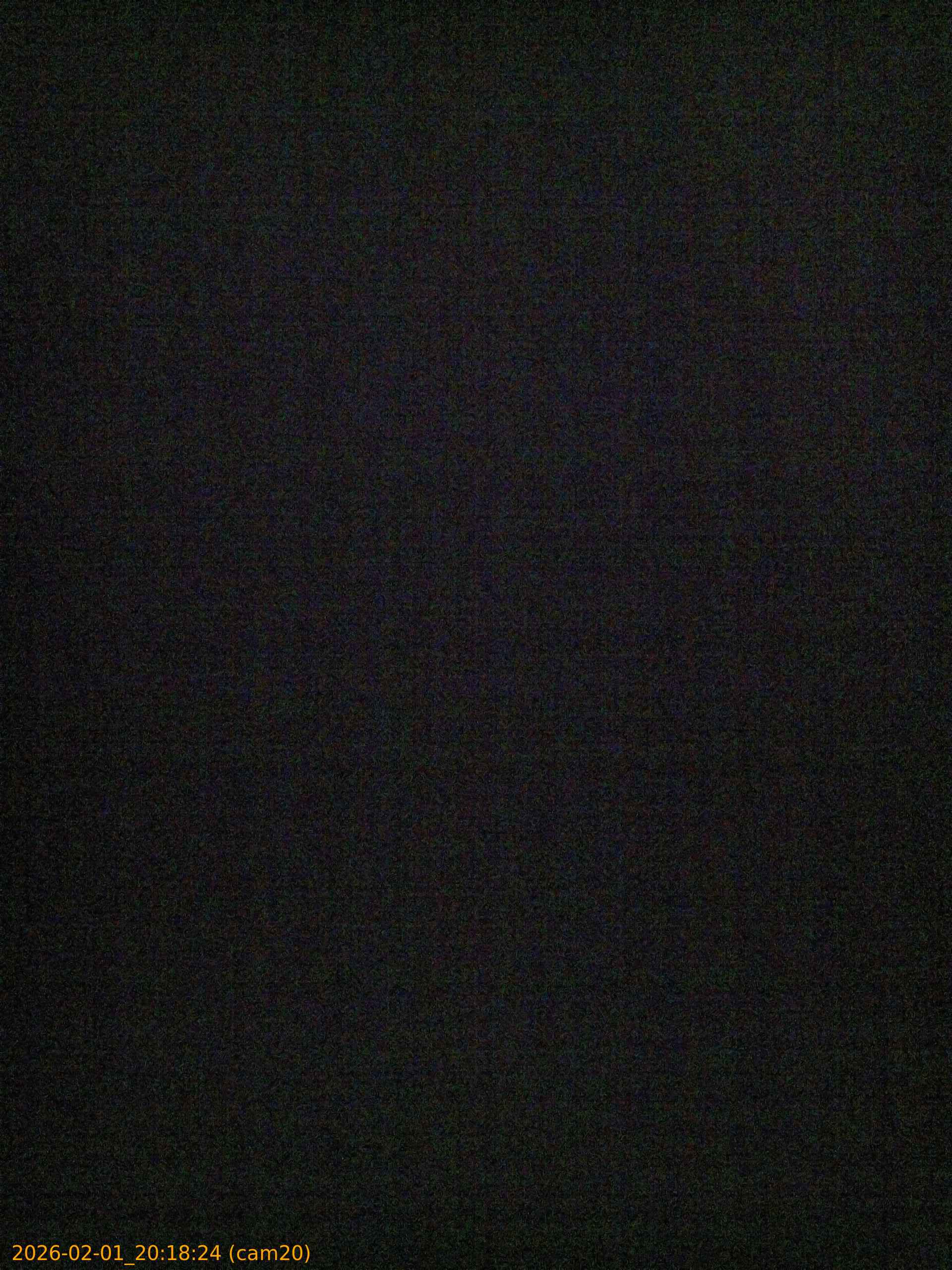 thumbnail_20260201201824