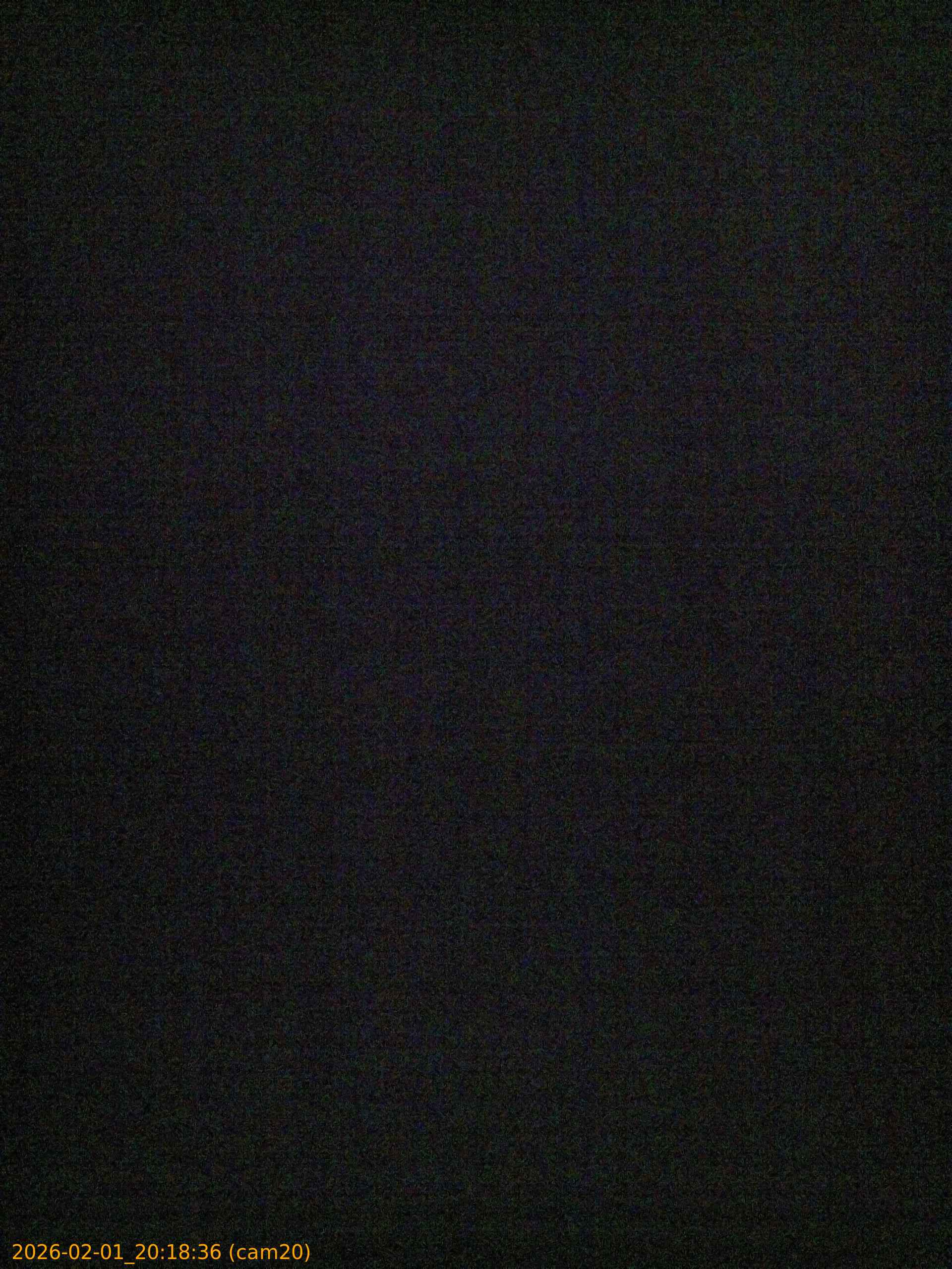 thumbnail_20260201201836