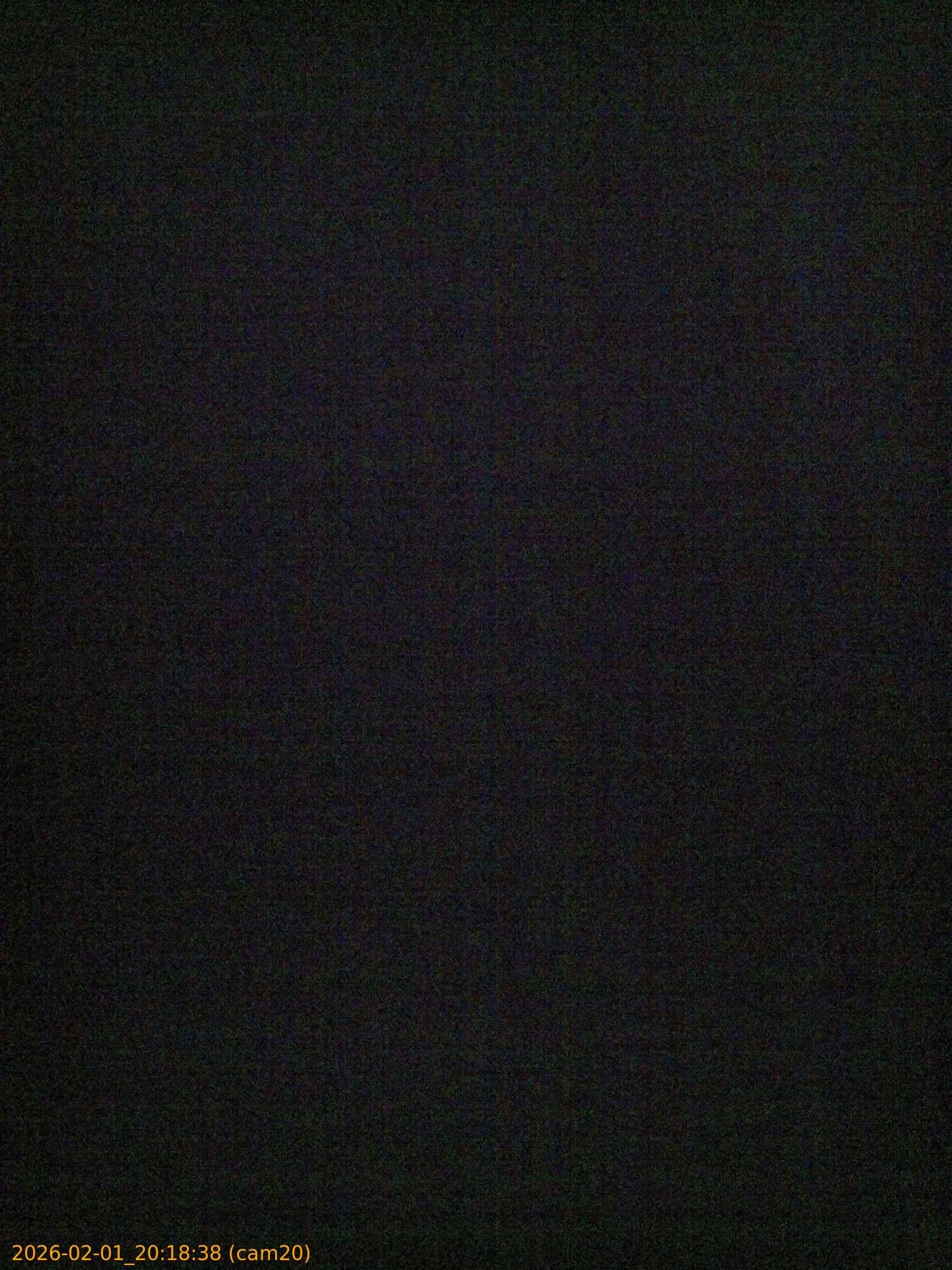 thumbnail_20260201201838