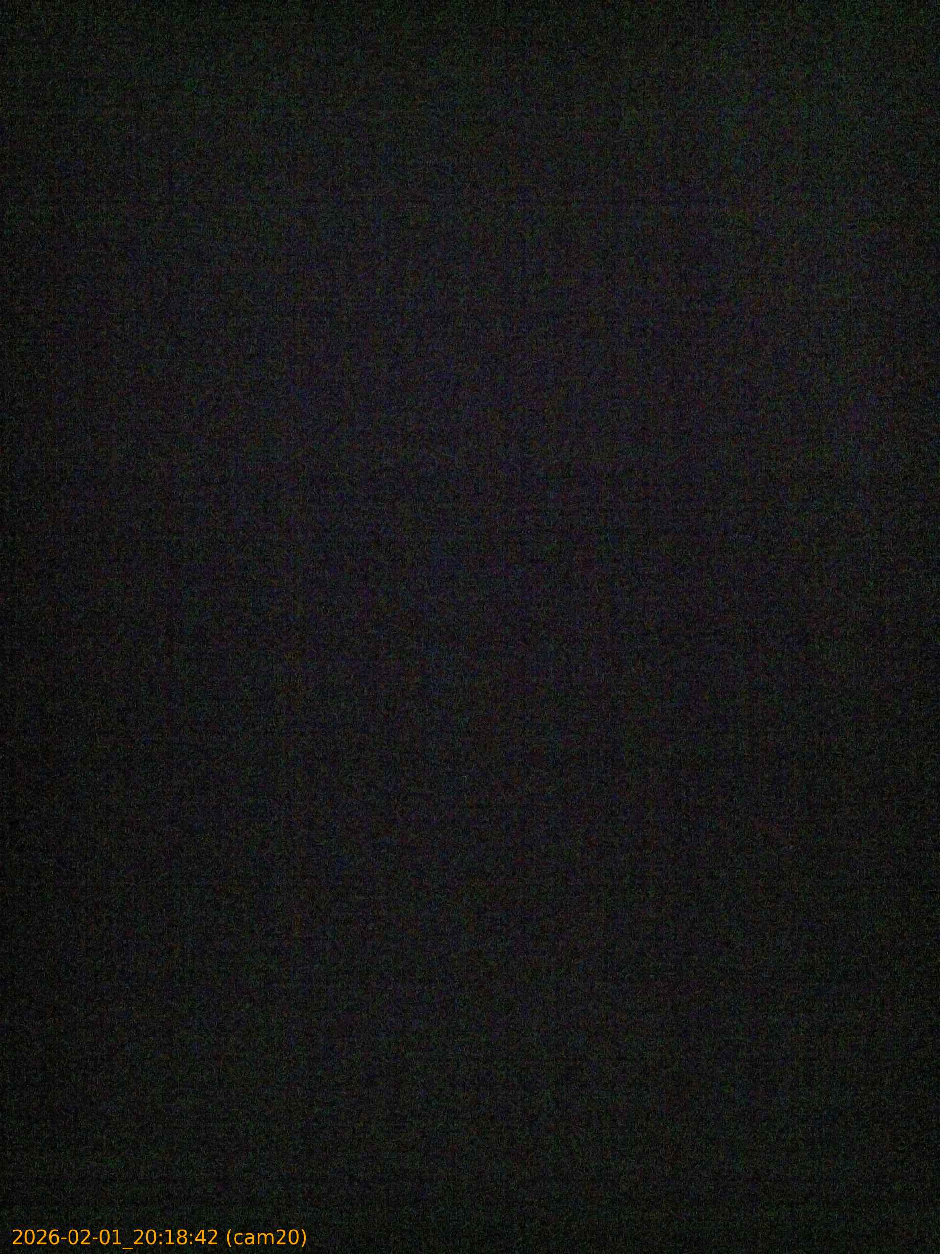 thumbnail_20260201201842