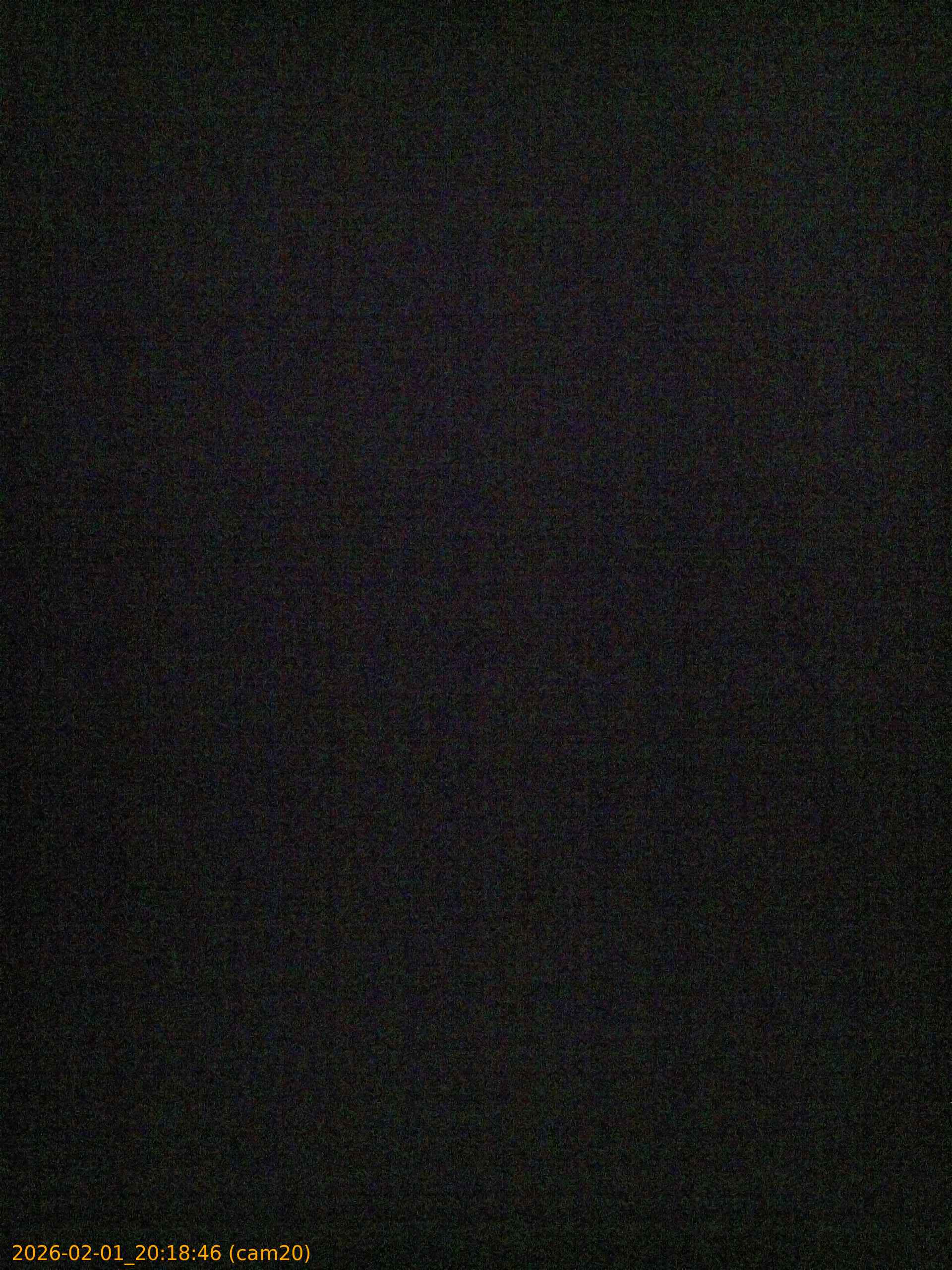 thumbnail_20260201201846