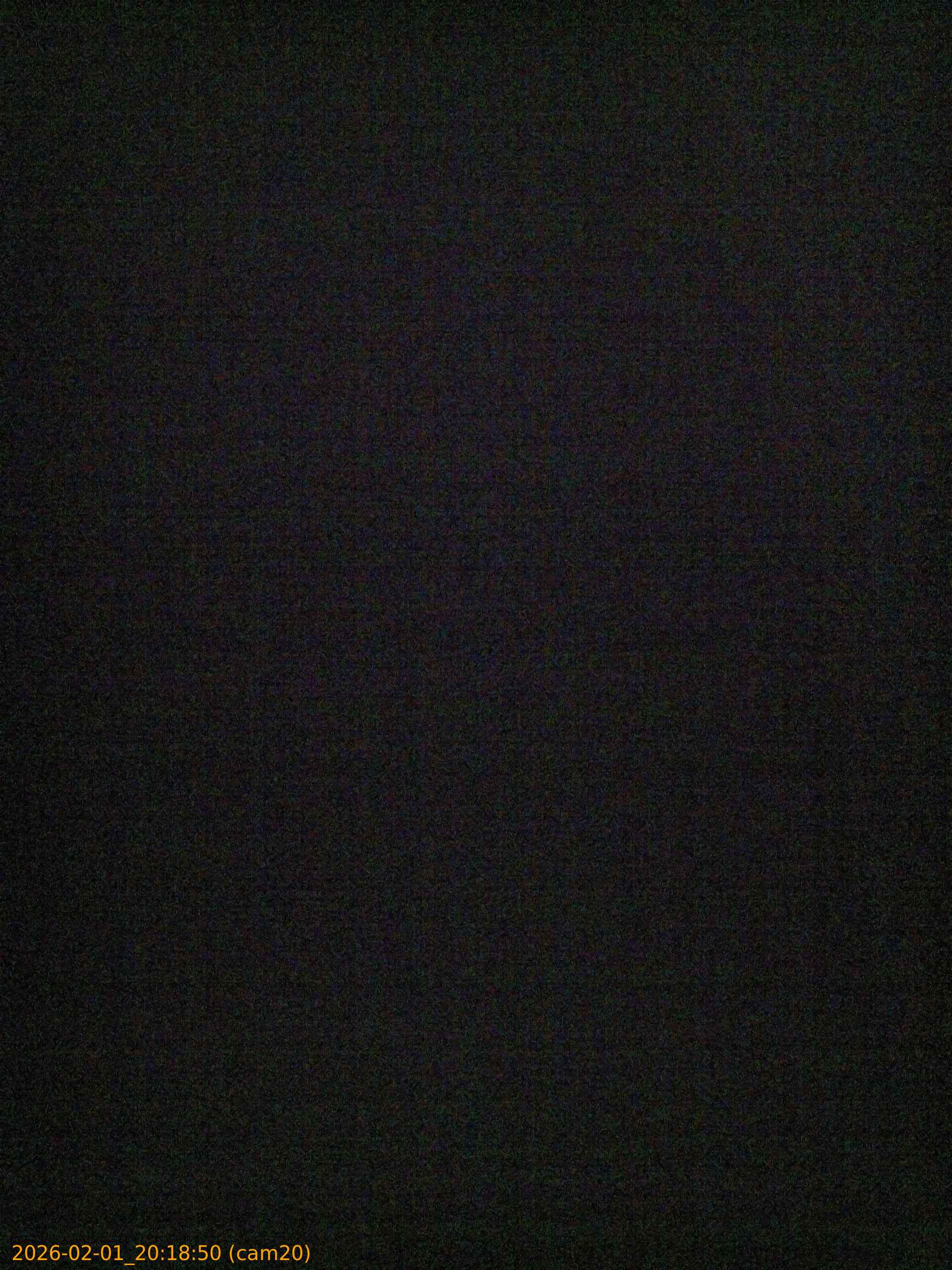 thumbnail_20260201201850