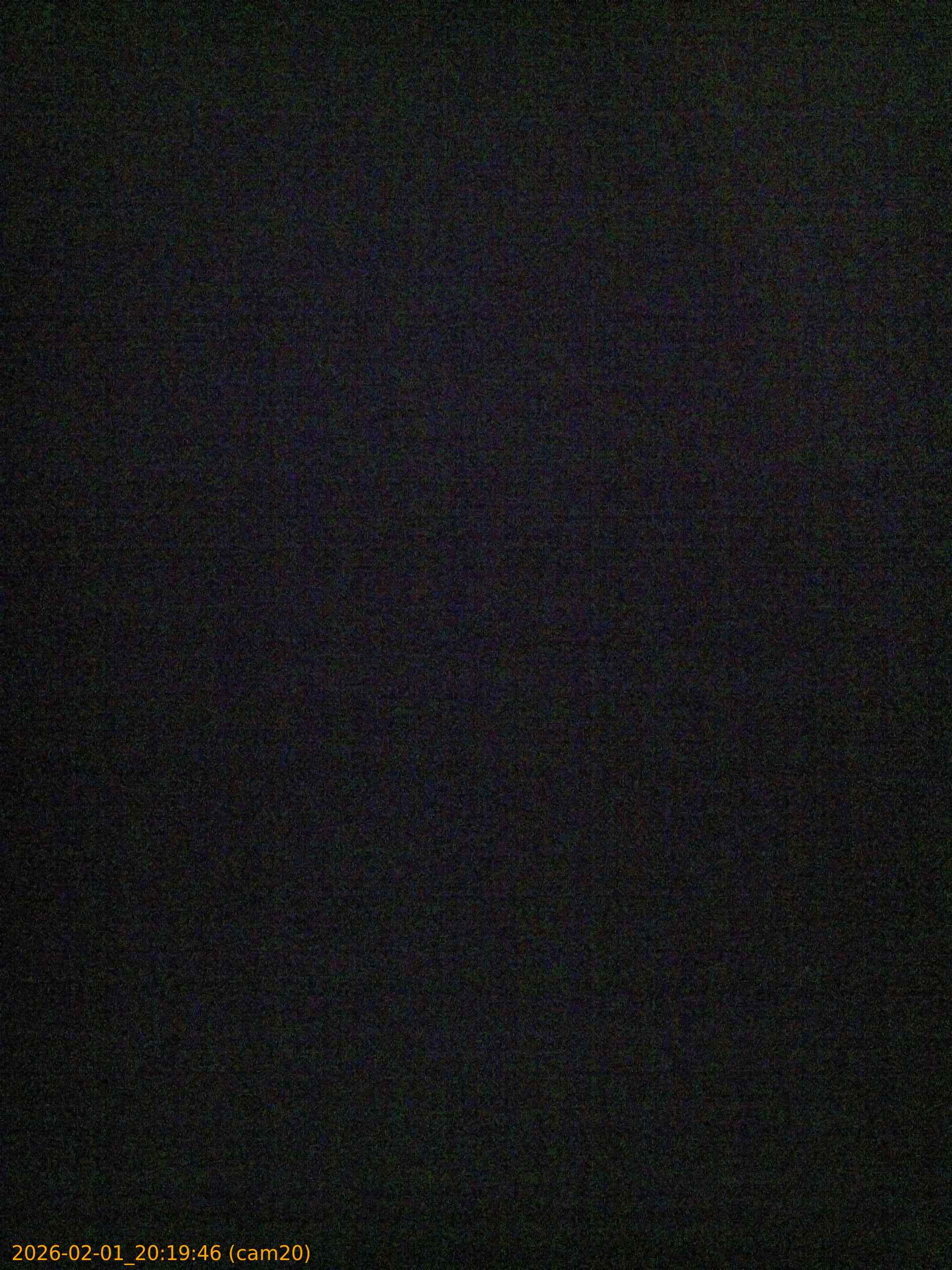 20260201201946