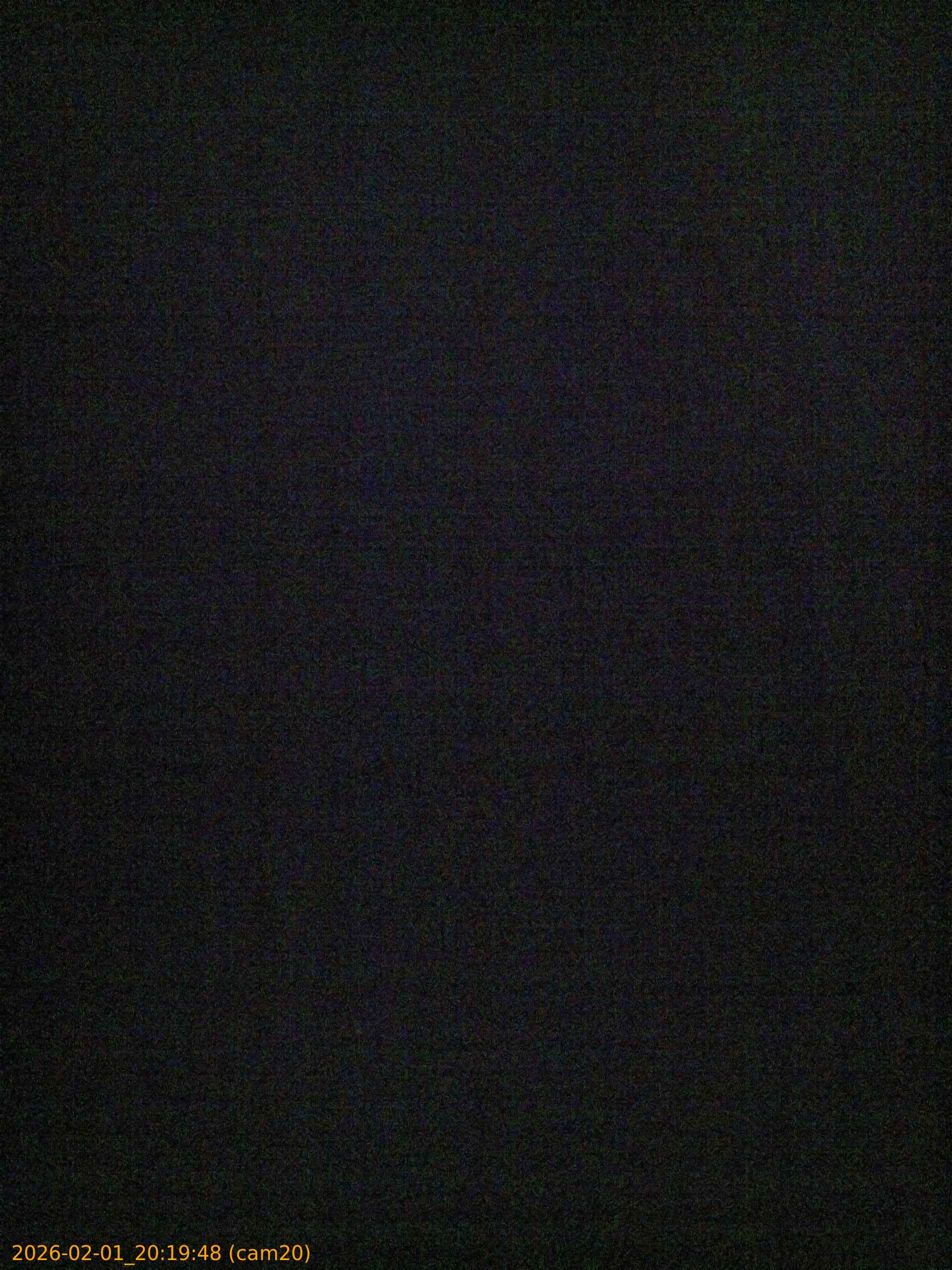 20260201201948