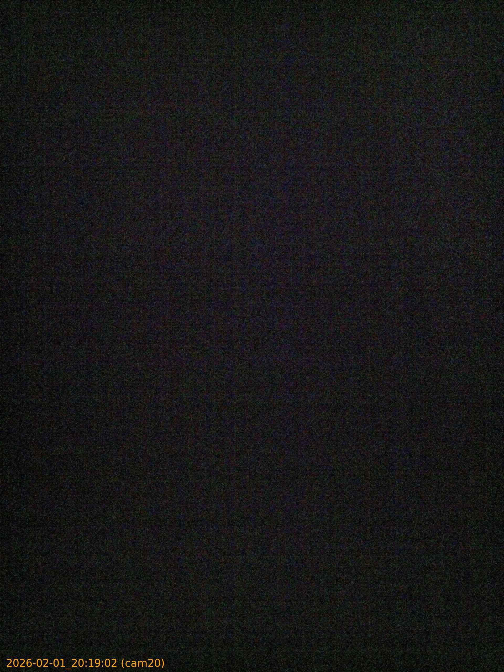 thumbnail_20260201201902