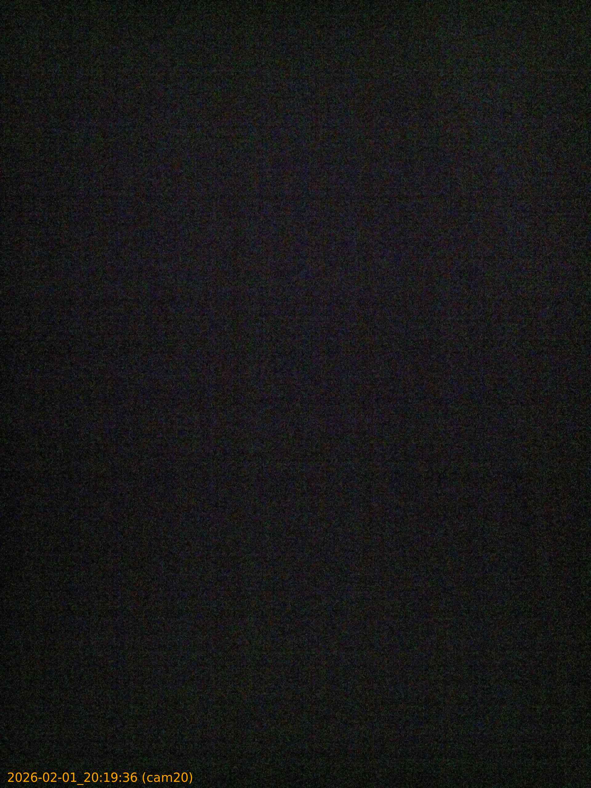 thumbnail_20260201201936