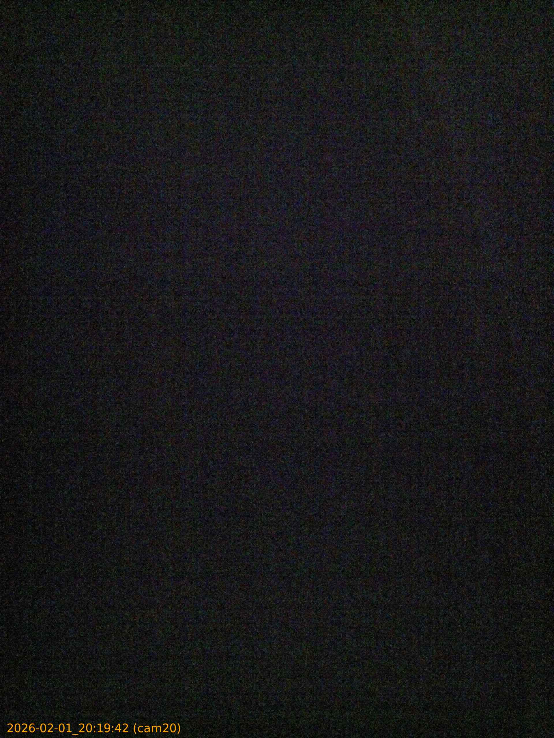 thumbnail_20260201201942