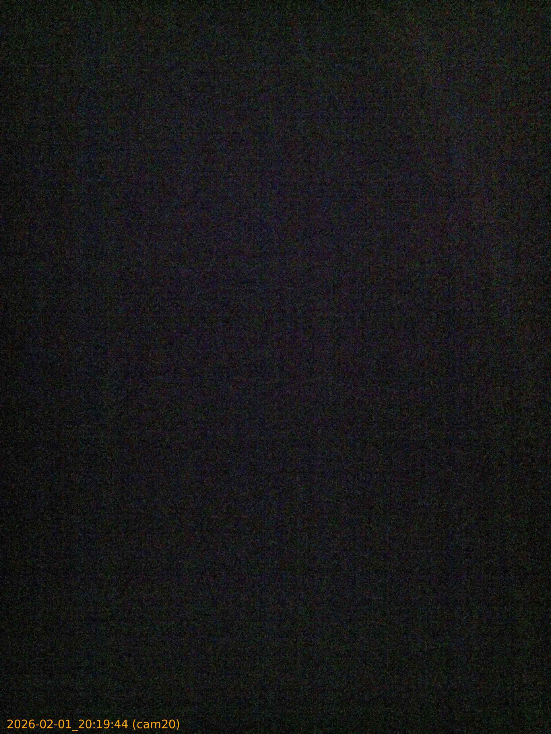 thumbnail_20260201201944