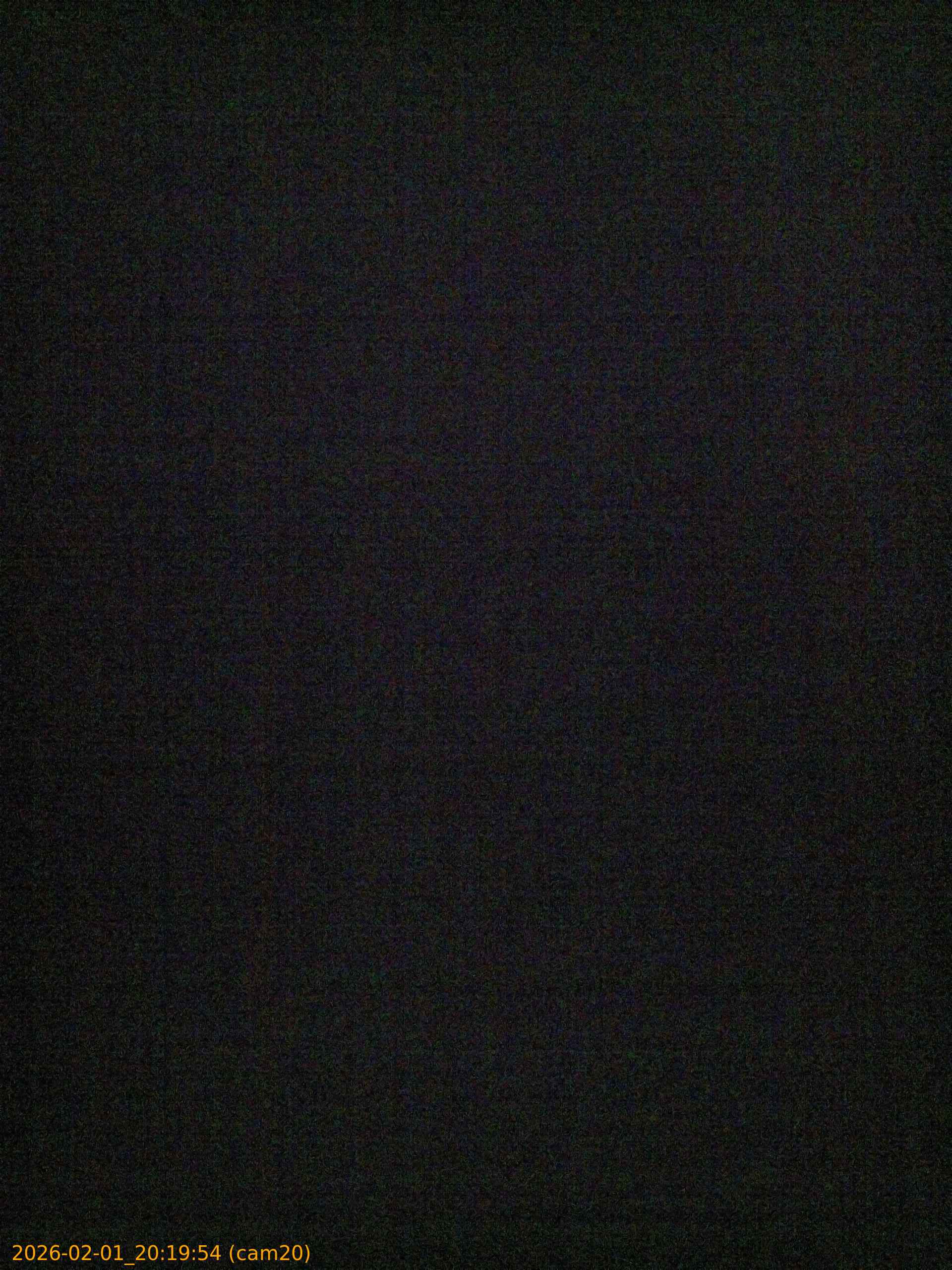 thumbnail_20260201201954