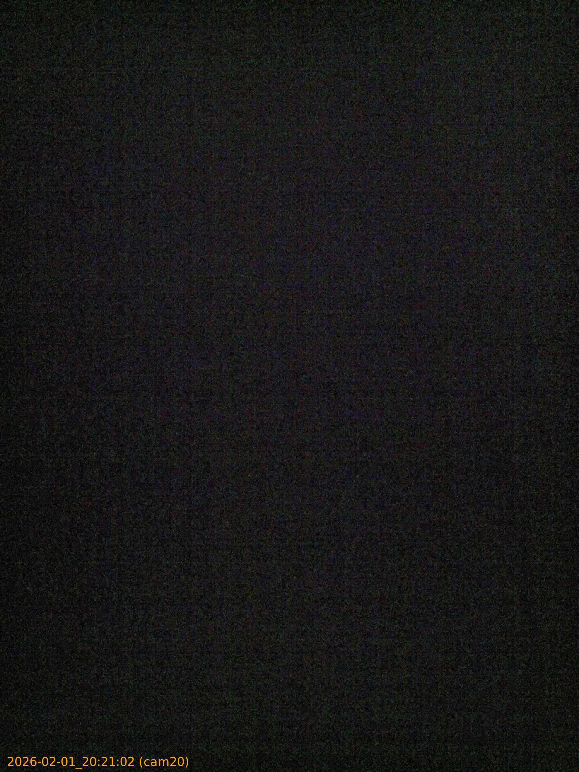 thumbnail_20260201202102