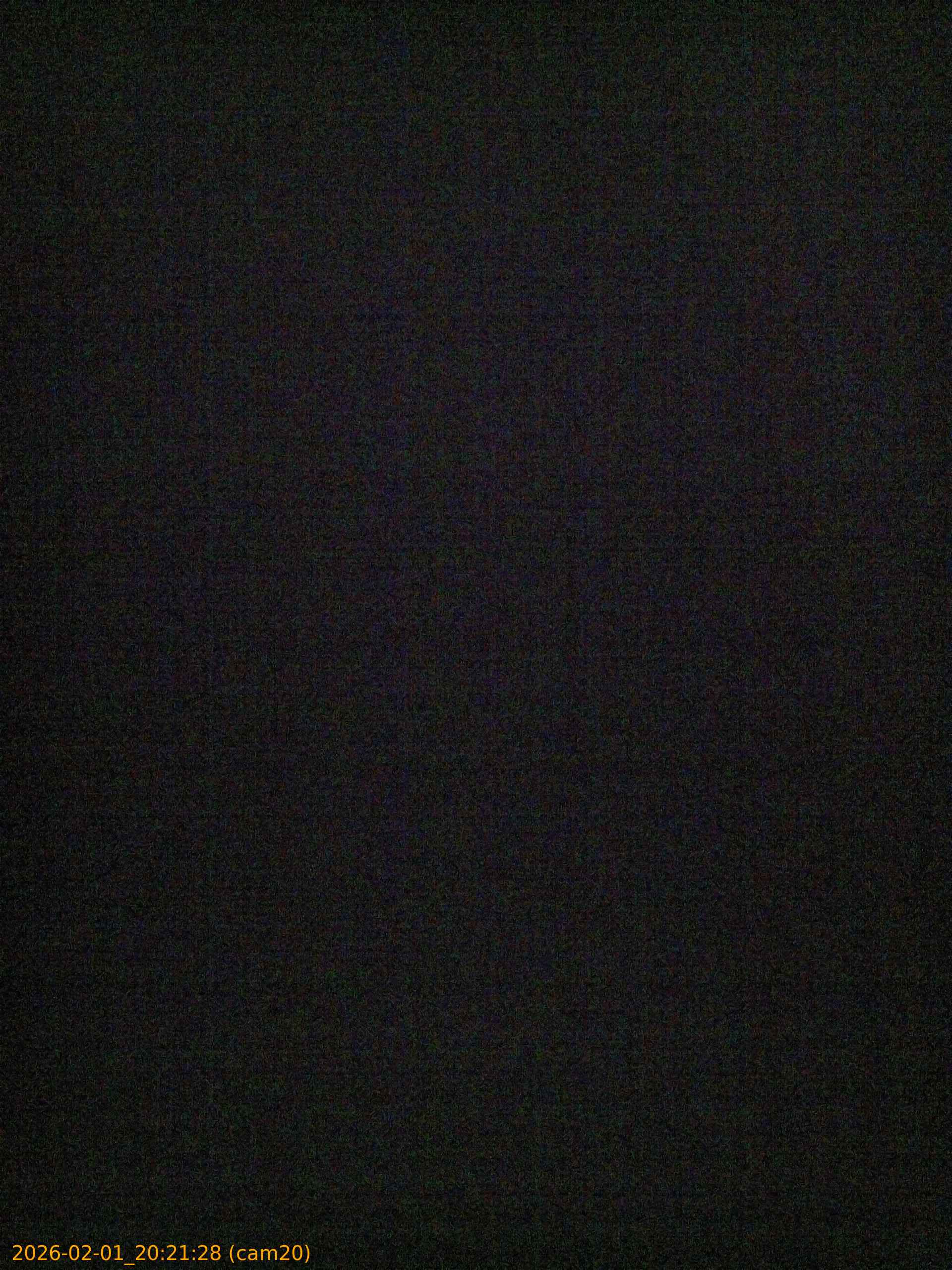 thumbnail_20260201202128